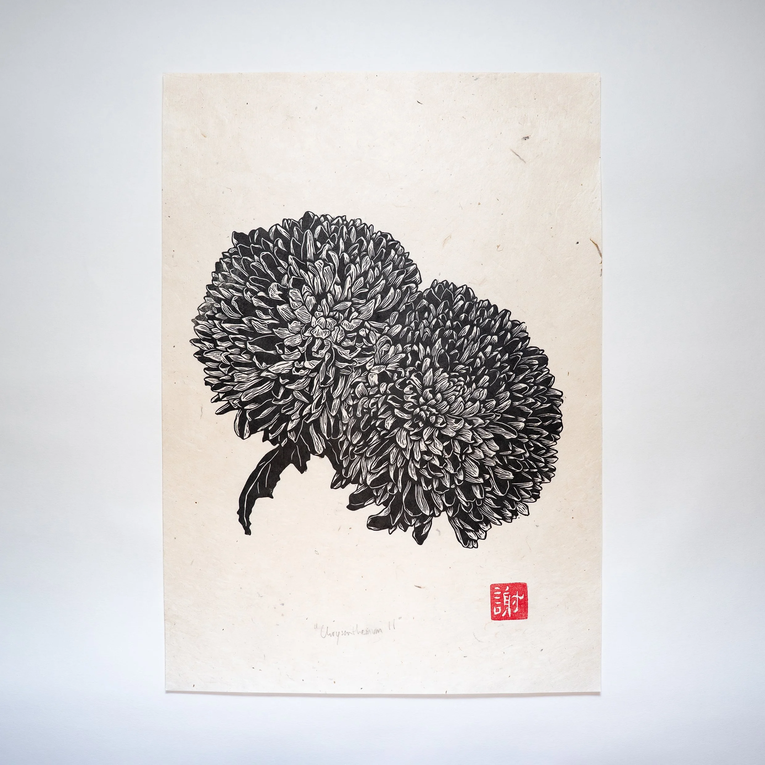 A3 Chrysanthemum Print II_
