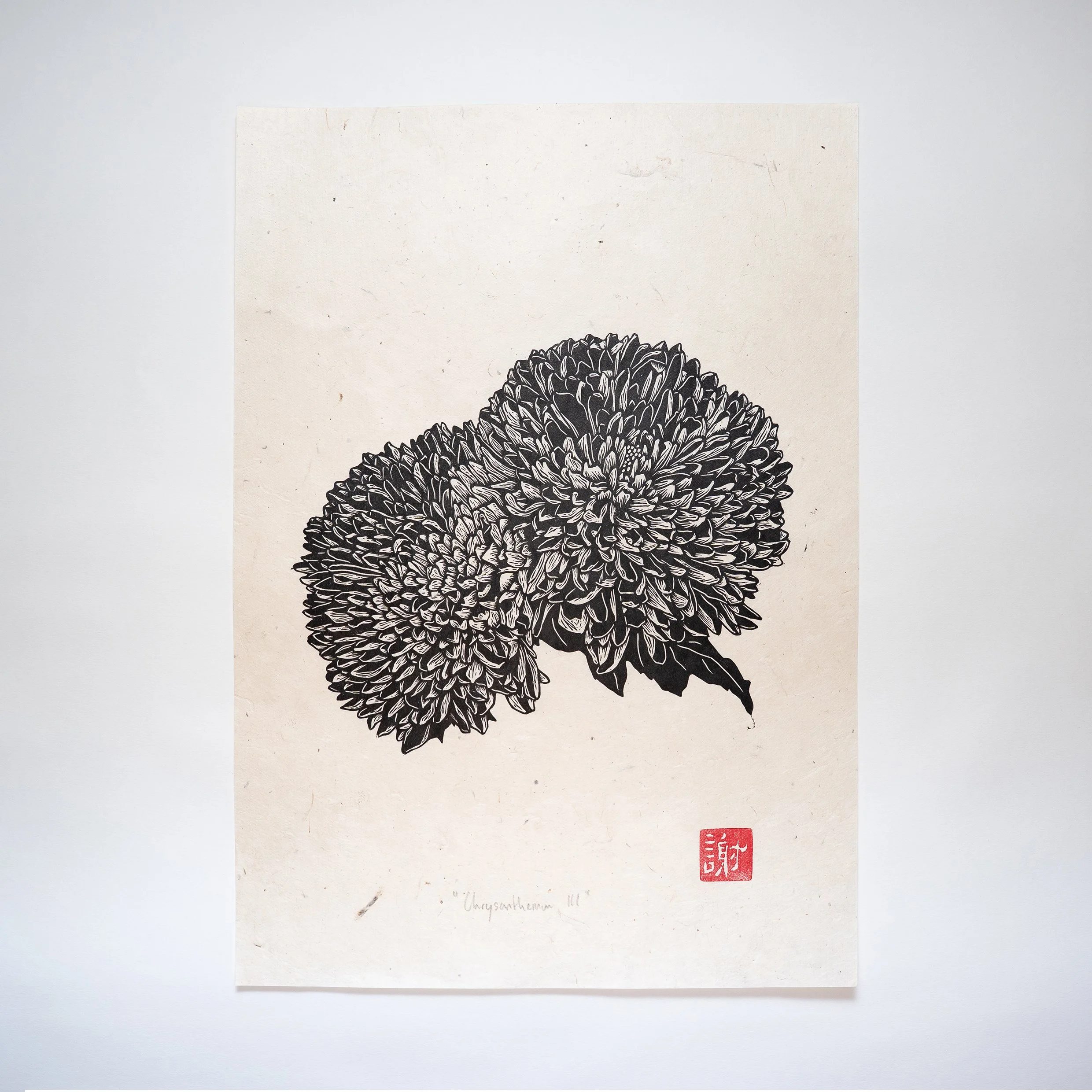 A3 Chrysanthemum Print III_
