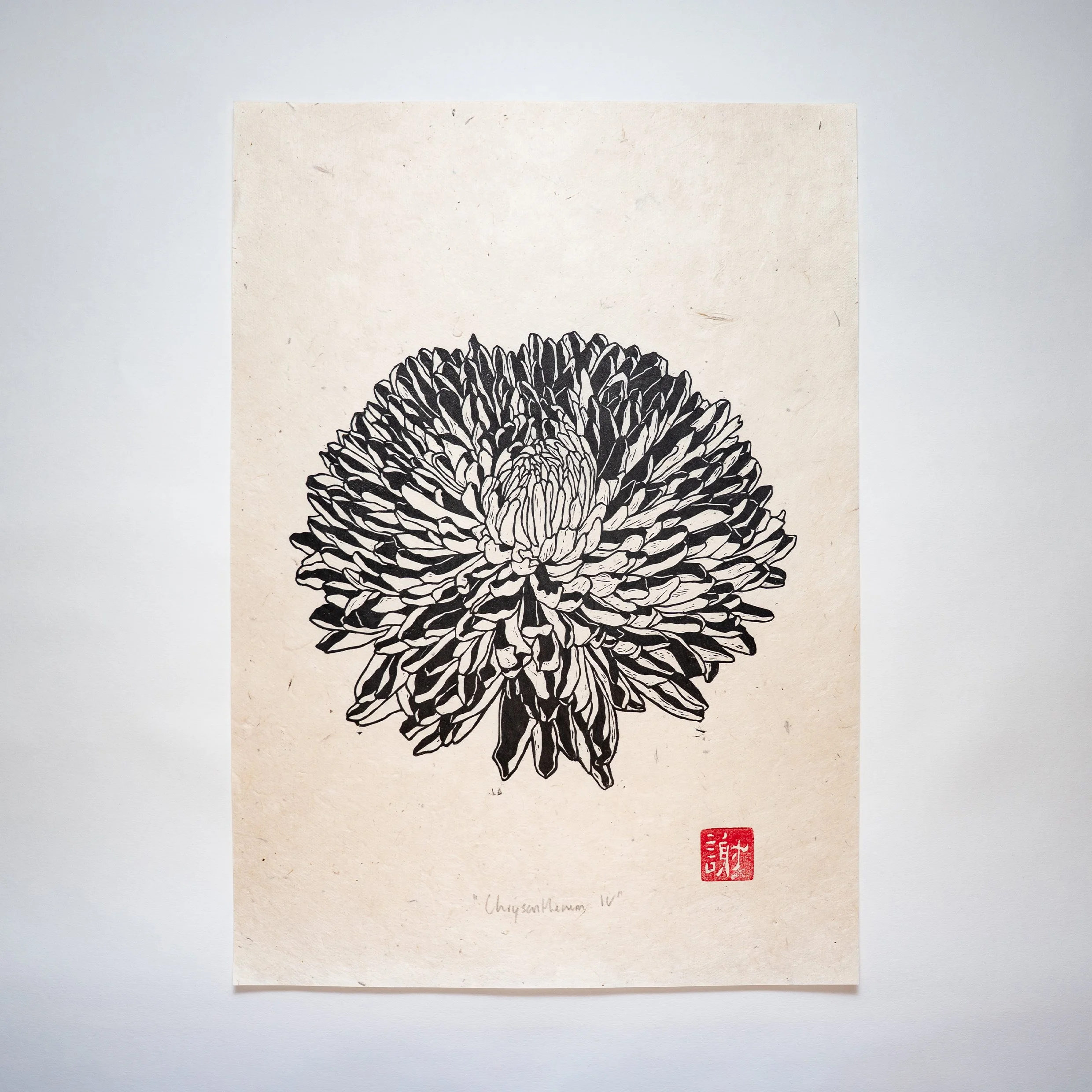 chrysanthemum IV print.jpg