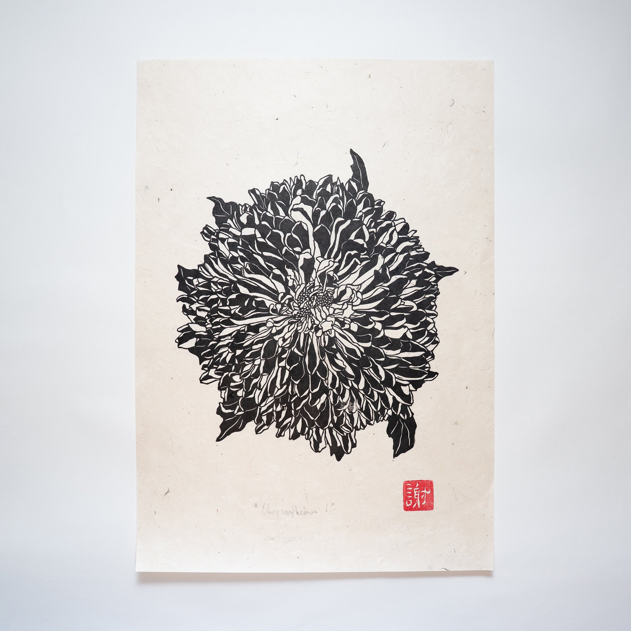 A3 Chrysanthemum Print I_
