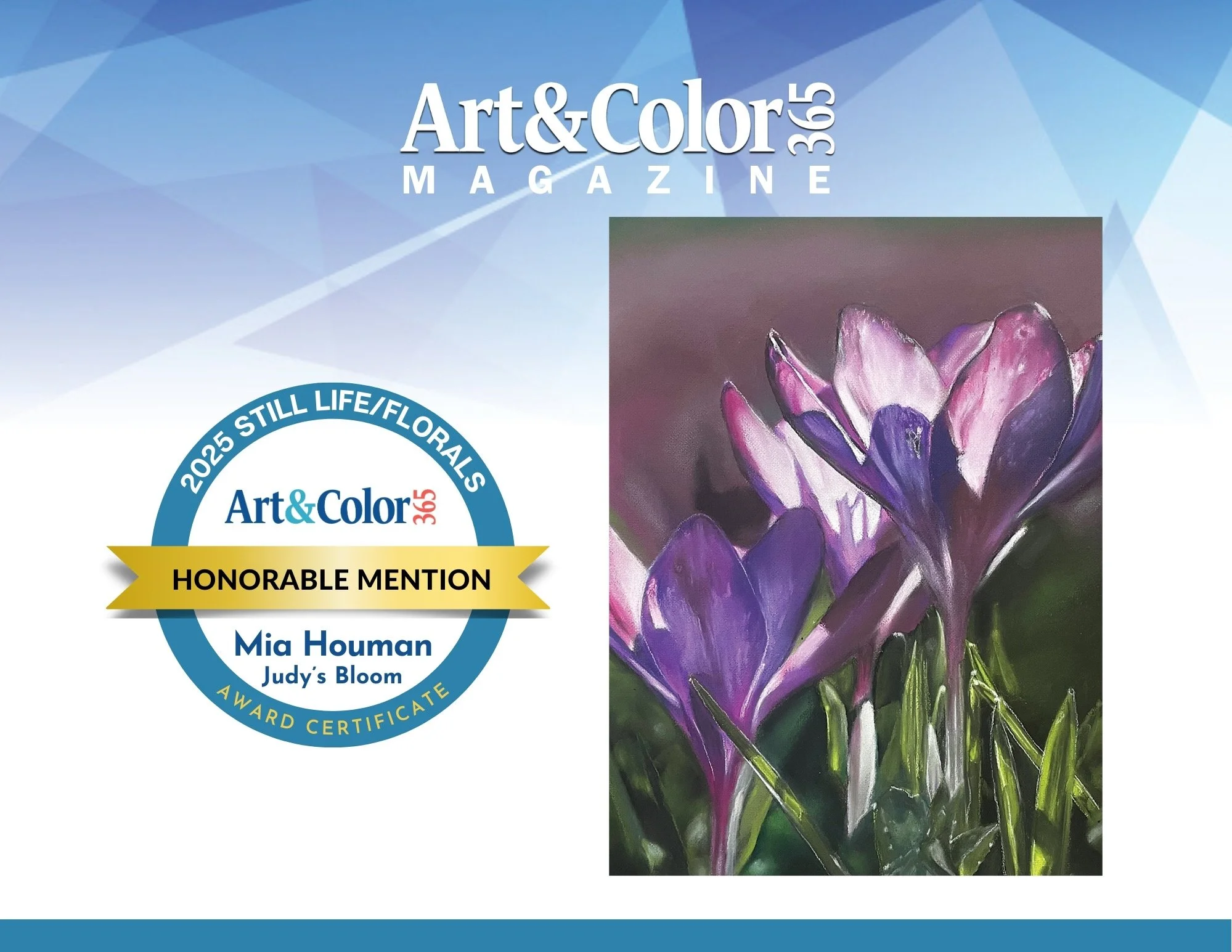 Art & Color Still Life