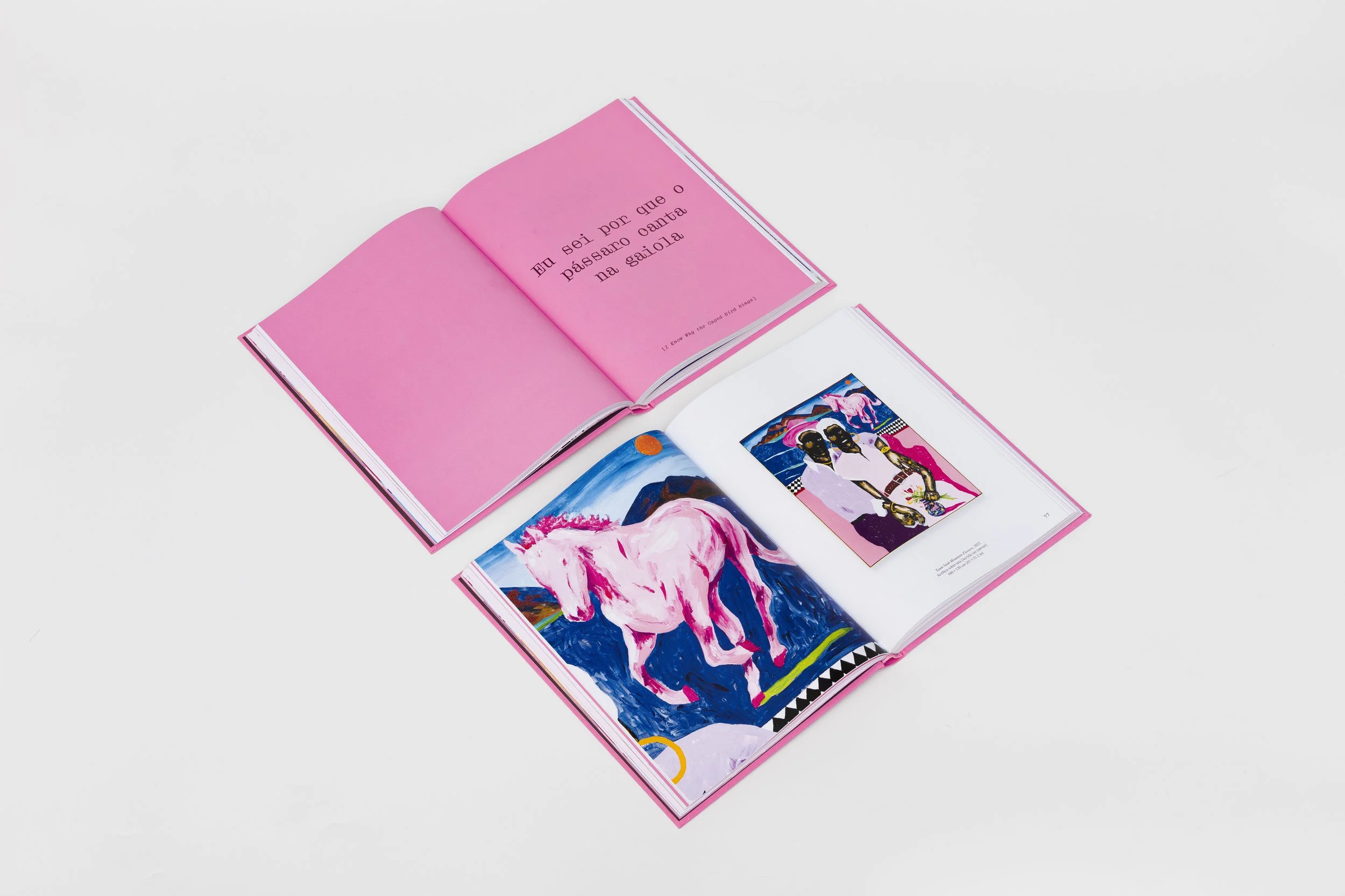 250326-Act-ph Ana Pigosso-006-hr.jpg