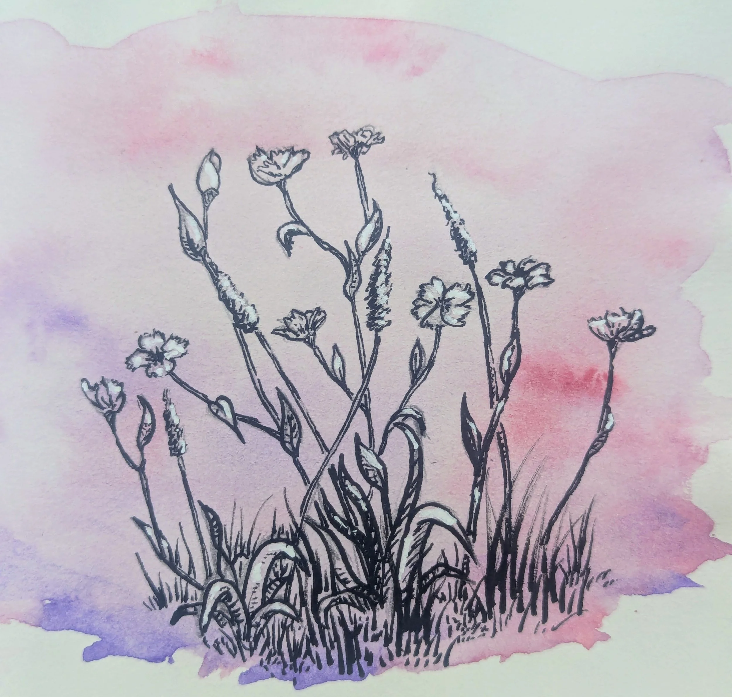 Landscape Fundamentals Class - June 22-25, 2026