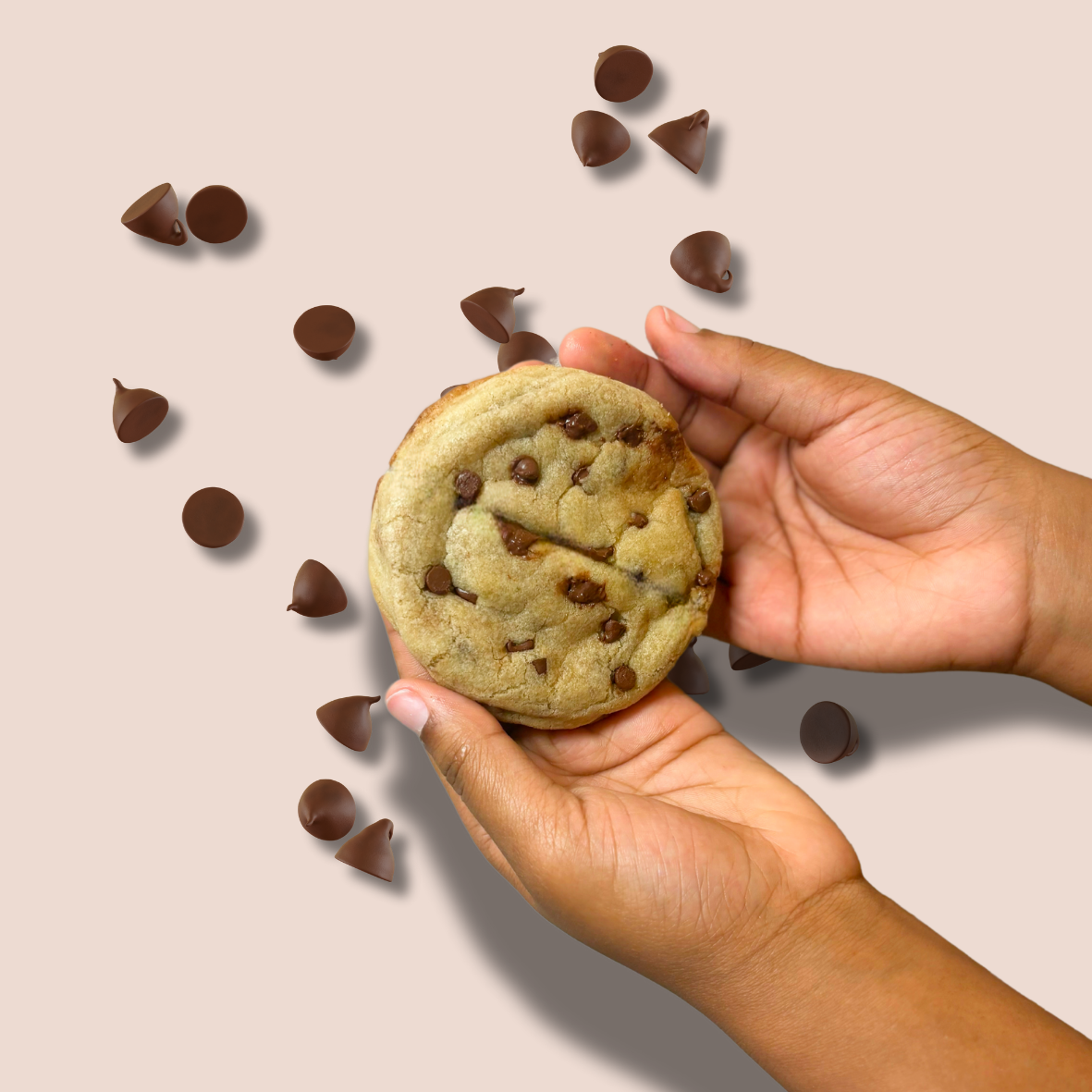 Regular Chocolate Chip