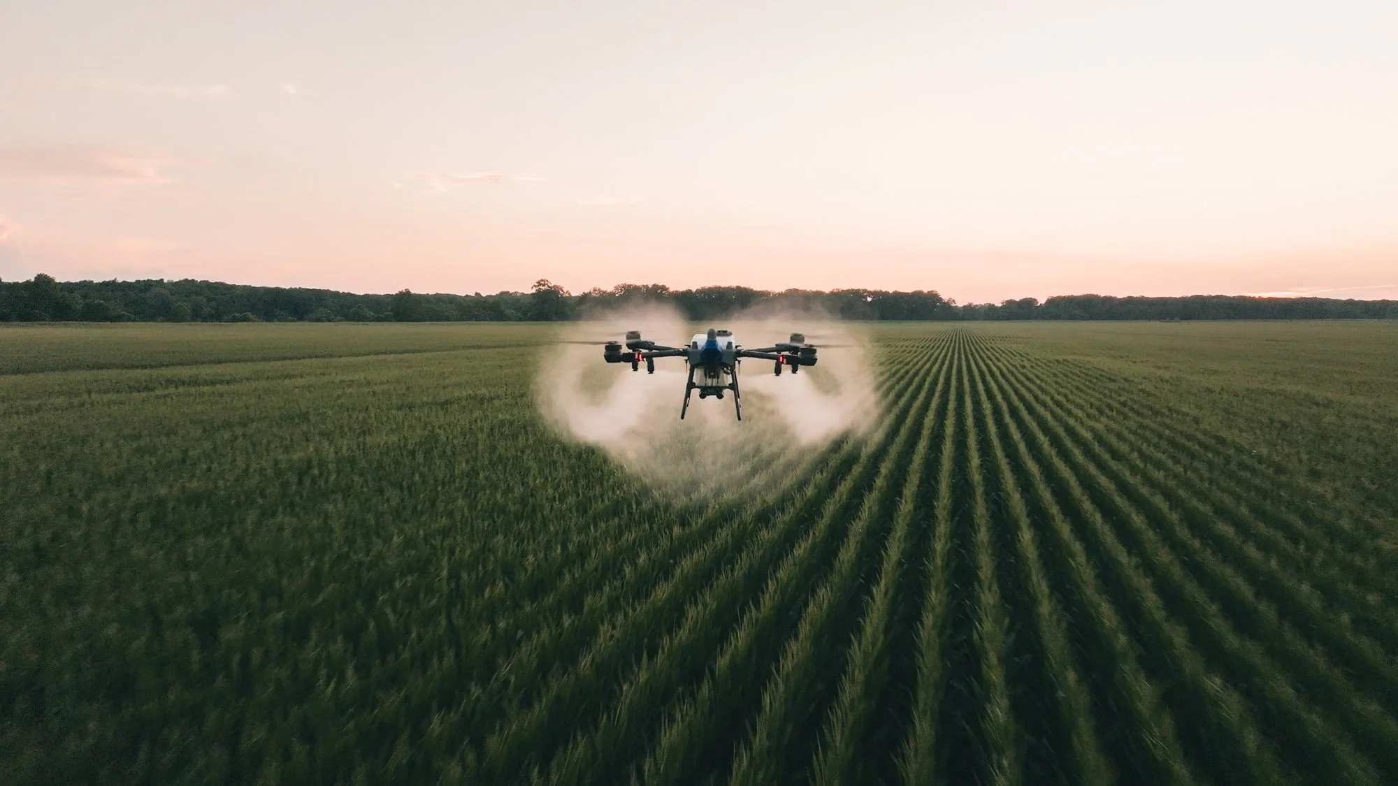 Still 2025-07-09 091512_1.44.1 (1).jpg