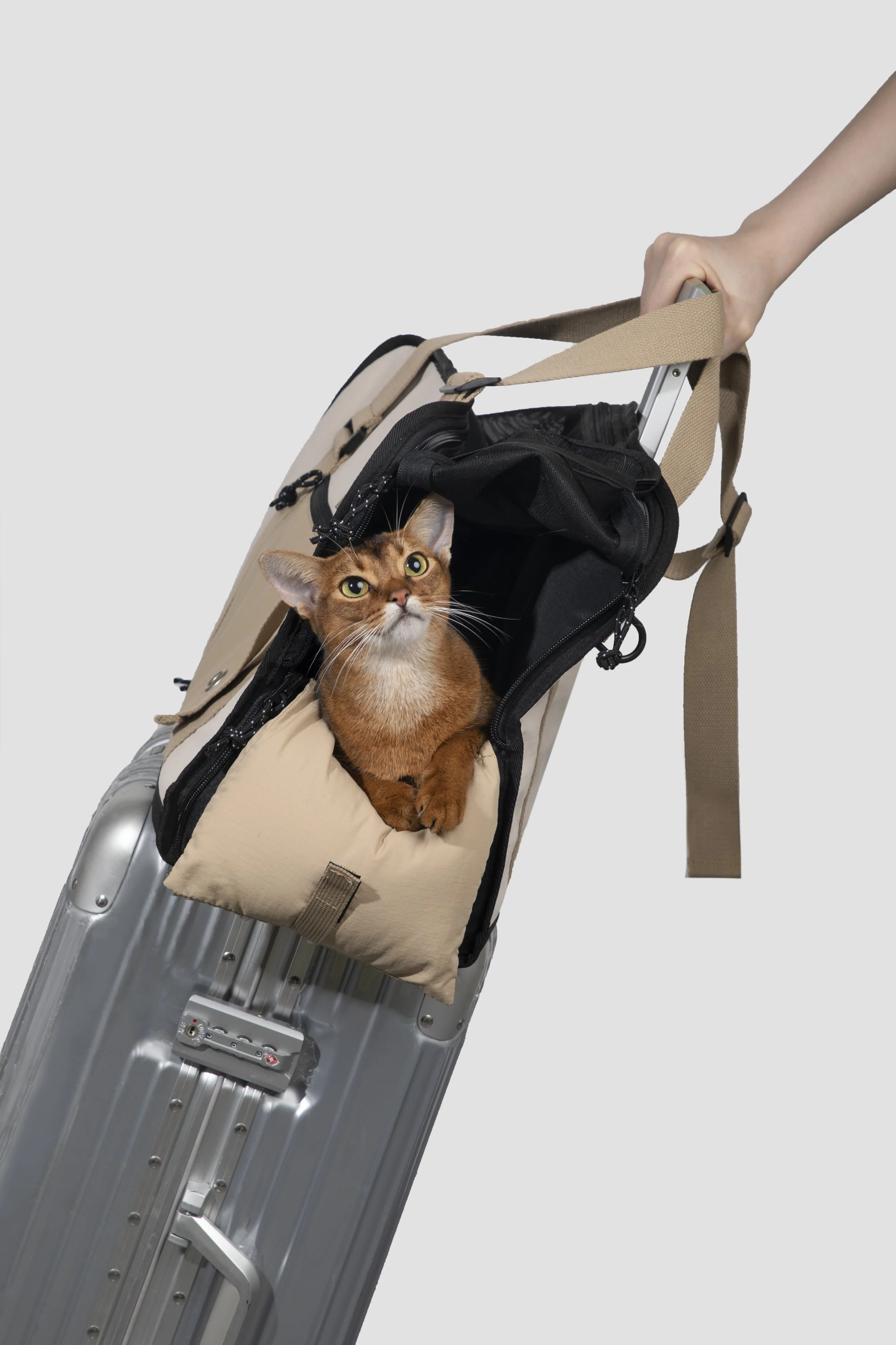 HiDREAM Pet Sling Carrier Tote Bag