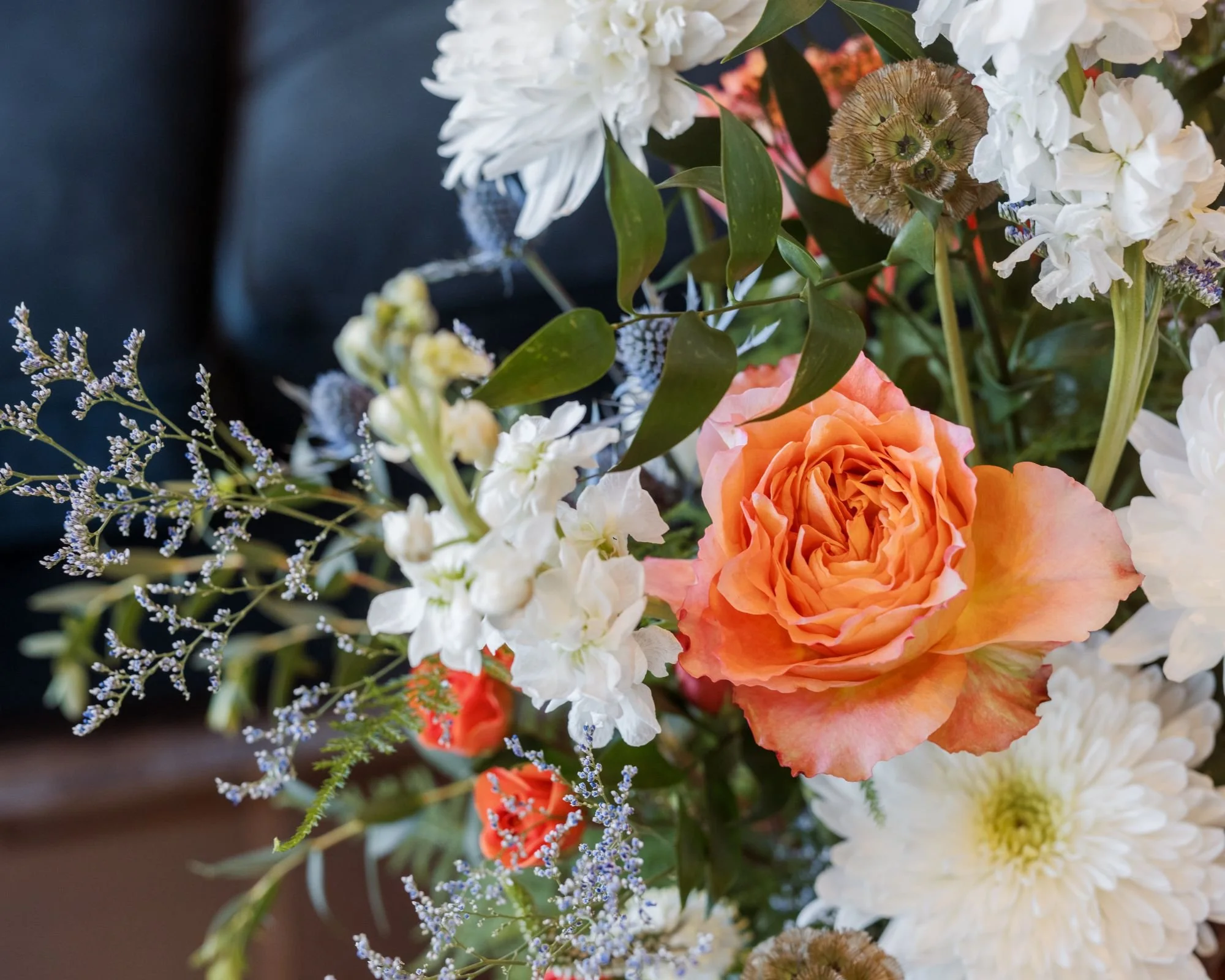 Untitled design (10).jpg