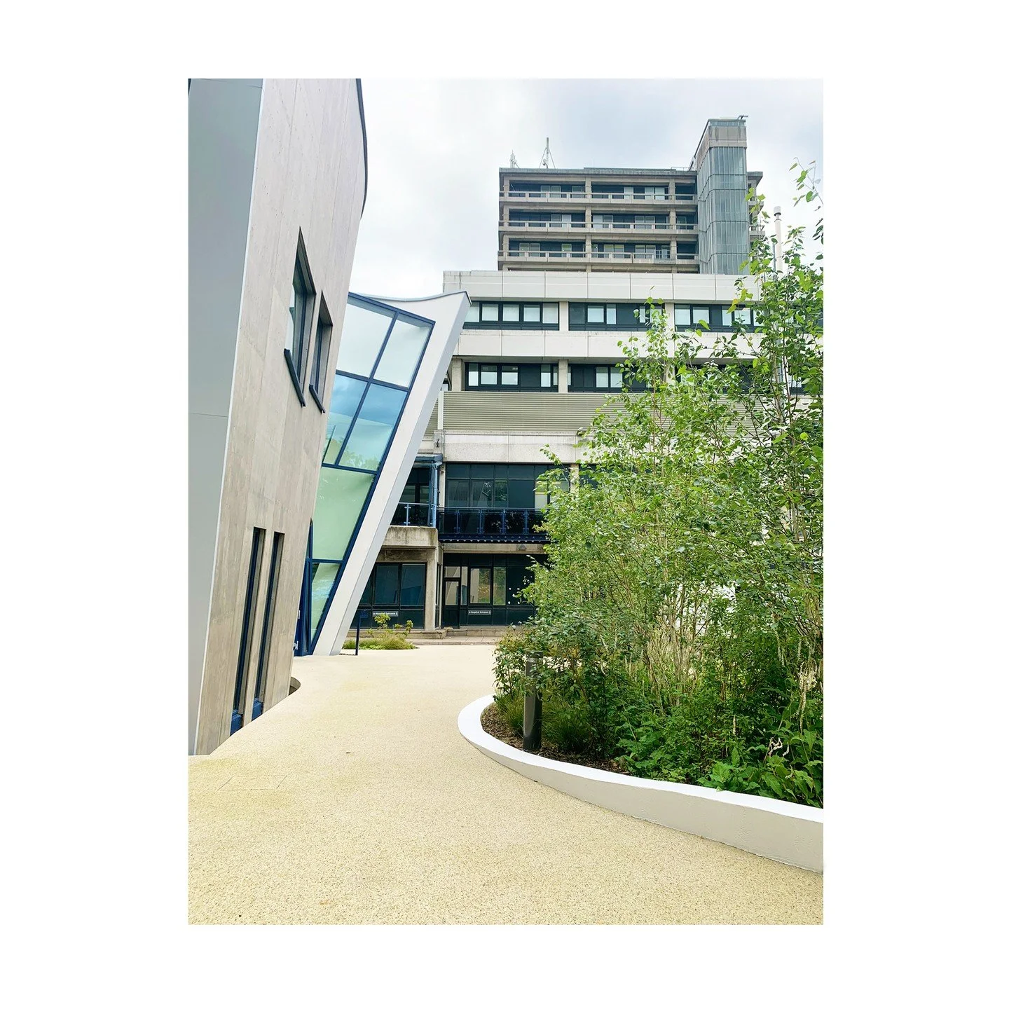 Maggie&rsquo;s Royal Free Hospital &ndash; London, UK &ndash; Healing Landscape

Maggie&rsquo;s Centres offer free emotional and social support to people with cancer, as well as their family and friends. The new centre is nestled behind the Royal Fre