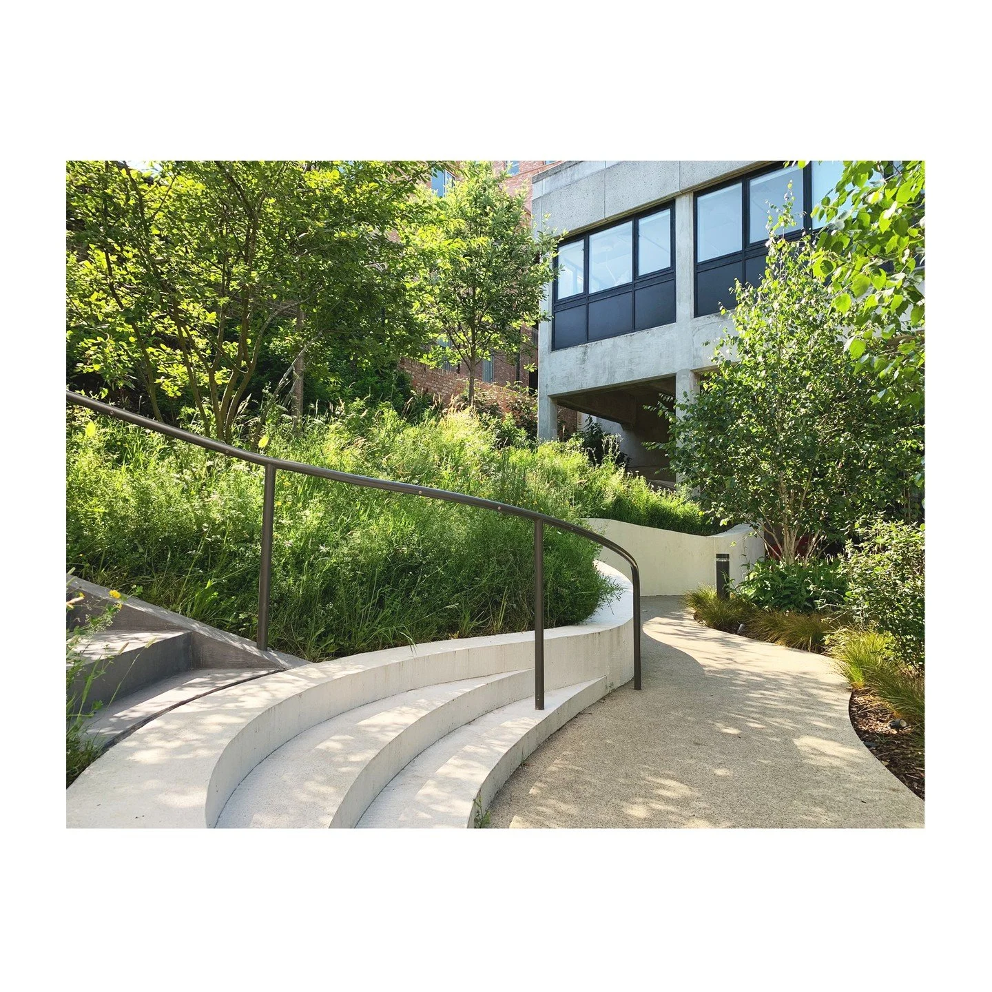 Maggie&rsquo;s Royal Free Hospital &ndash; London, UK &ndash; Healing Landscape

Maggie&rsquo;s Centres offer free emotional and social support to people with cancer, as well as their family and friends. The new centre is nestled behind the Royal Fre