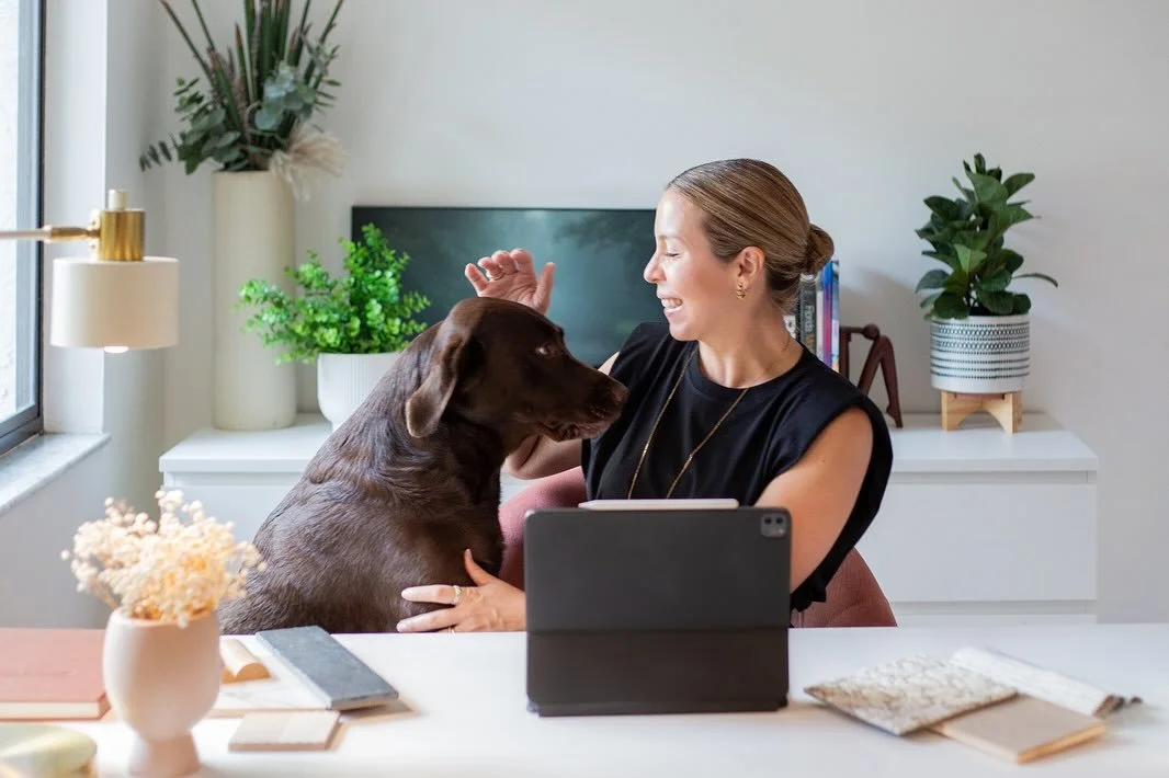 Meet the real bosses of Arruda Design Studio!
Every design studio needs a Beagle brainstormer + a Lab-level hugger. We&rsquo;ve got both&nbsp;😉&nbsp;
#nationalsogday #cocoanutarruda #hazelnutarruda
#studiodog
#arrudadesignstudio
