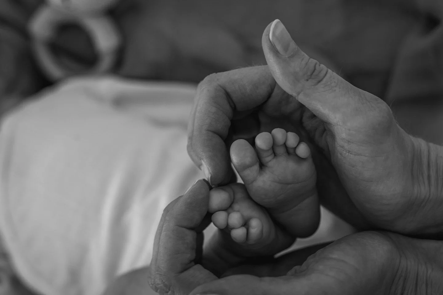 1663B2C6-9EE2-4926-8D38-4DFB114678E9 2.JPG