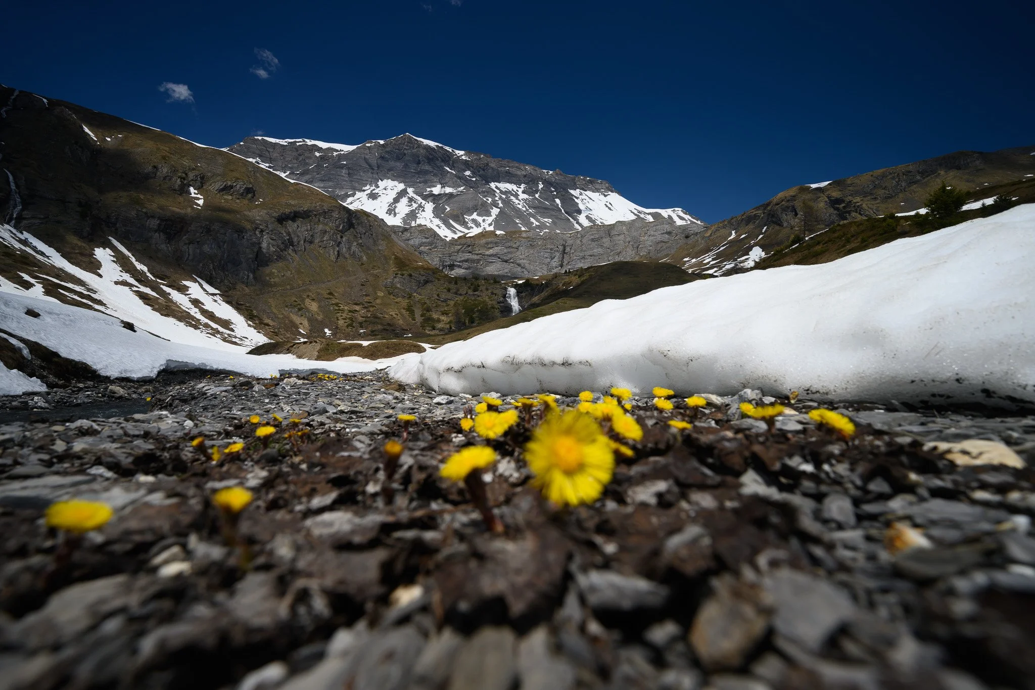 spring_tièche_background.jpg