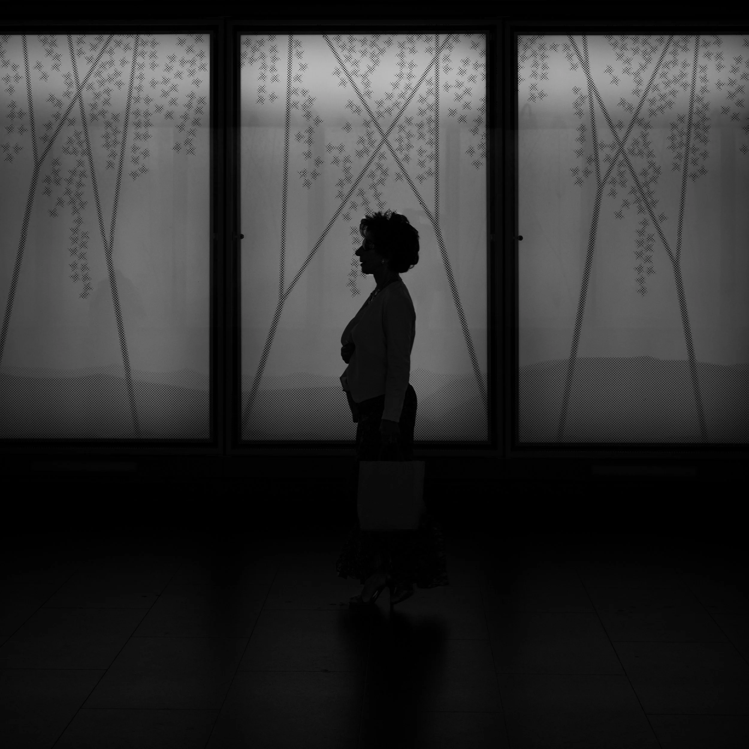 Black and white silhouette of an elegant mature lady