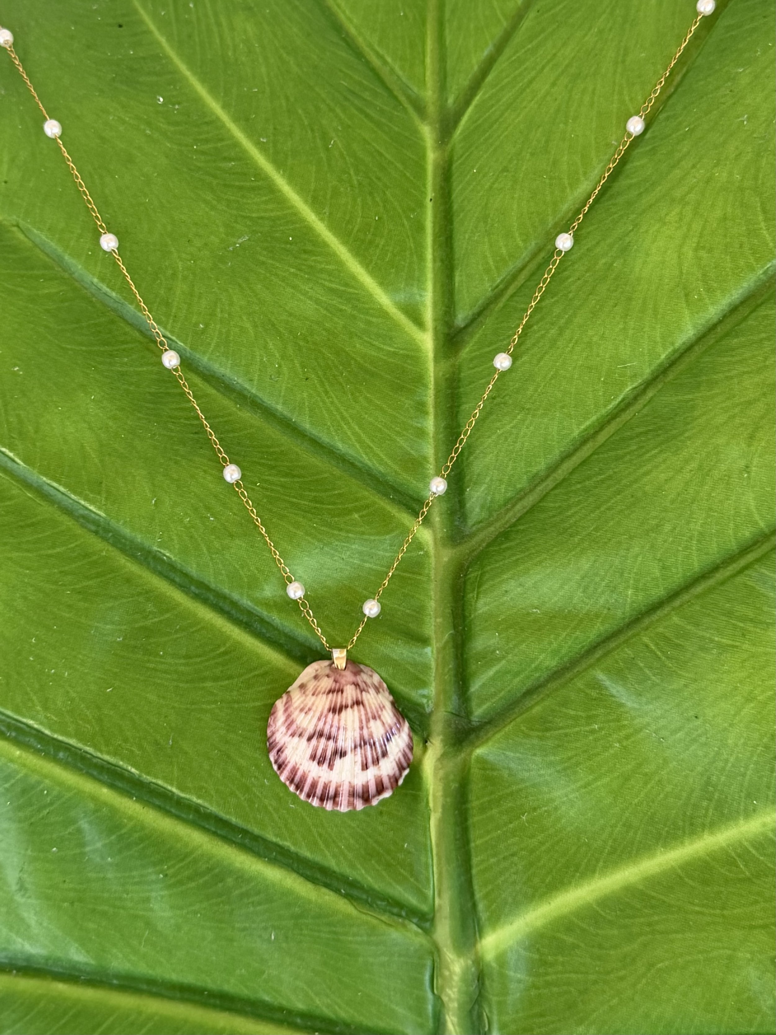 Shell Necklace
