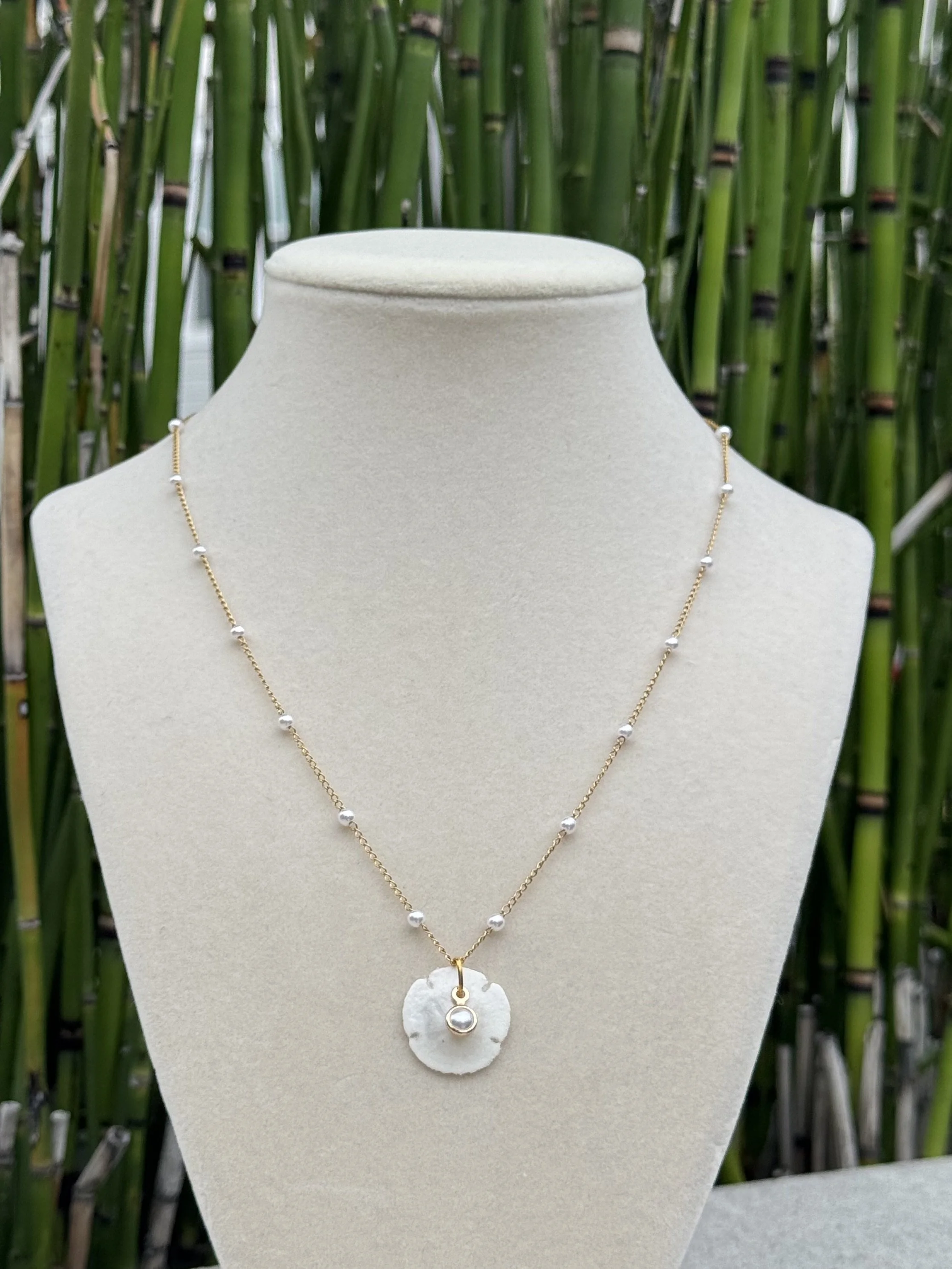 Shell Necklace