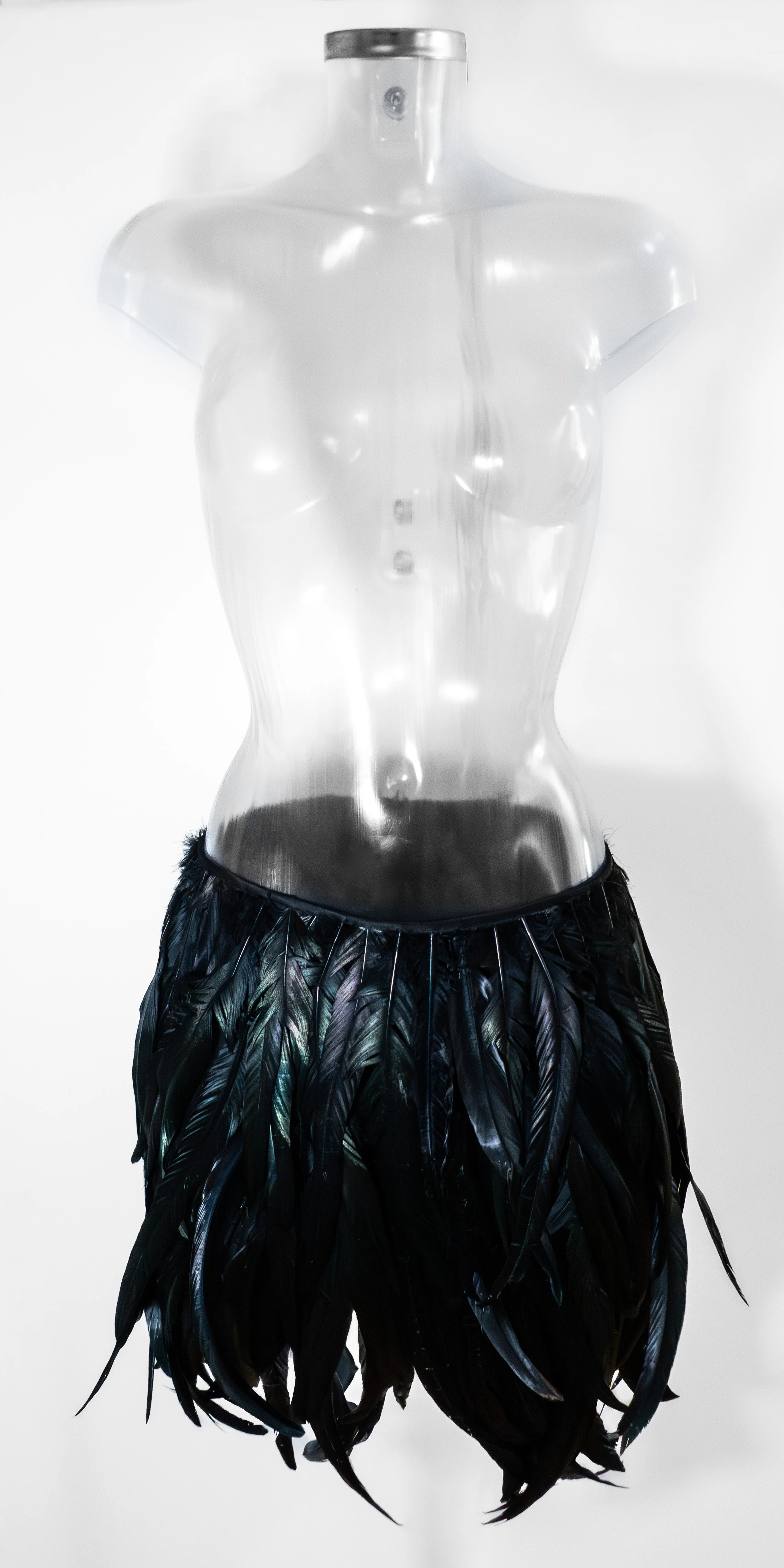 RAVEN SKIRT MQ-4.jpg