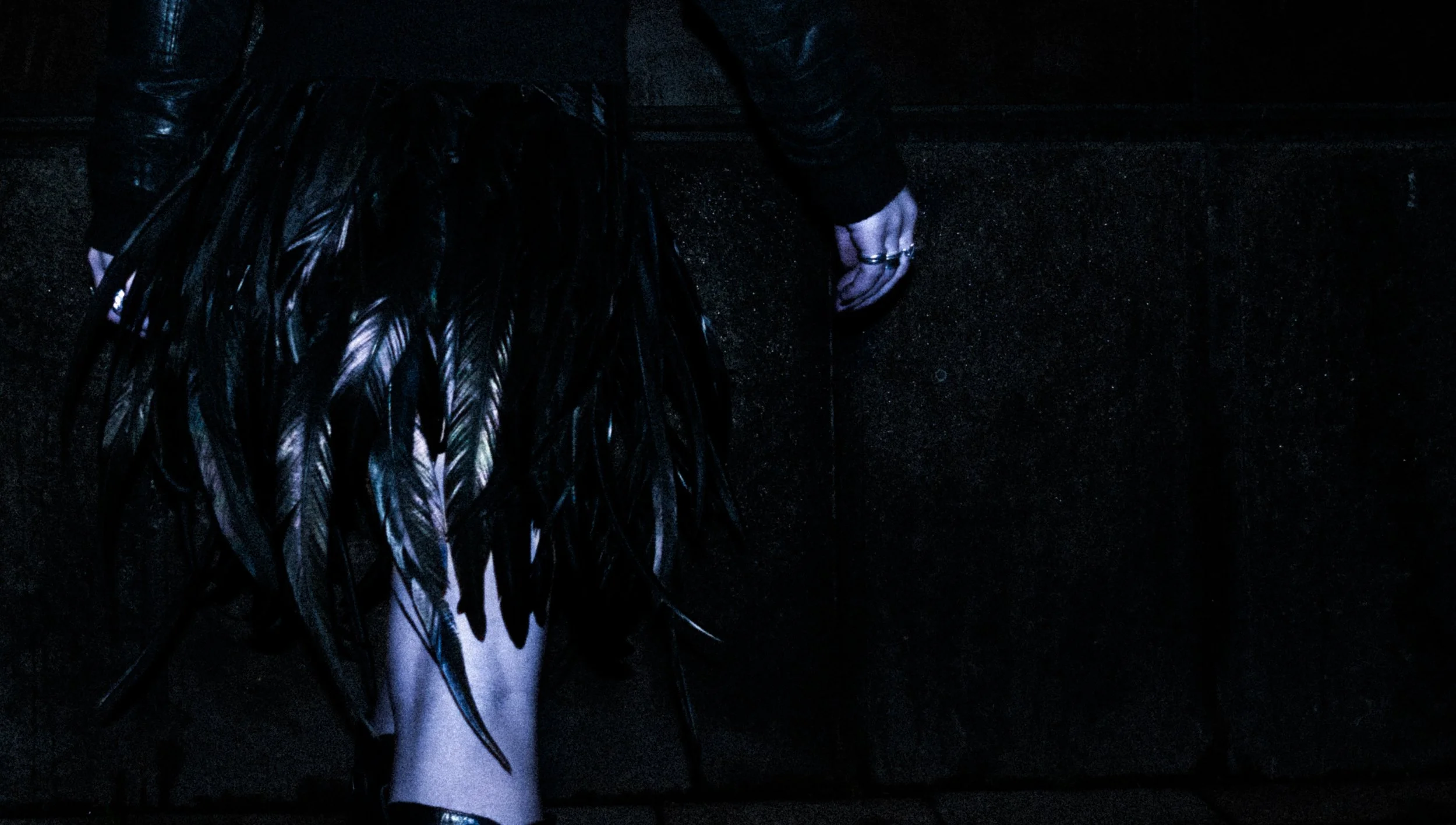 FEATHER SCREEN-22.jpg
