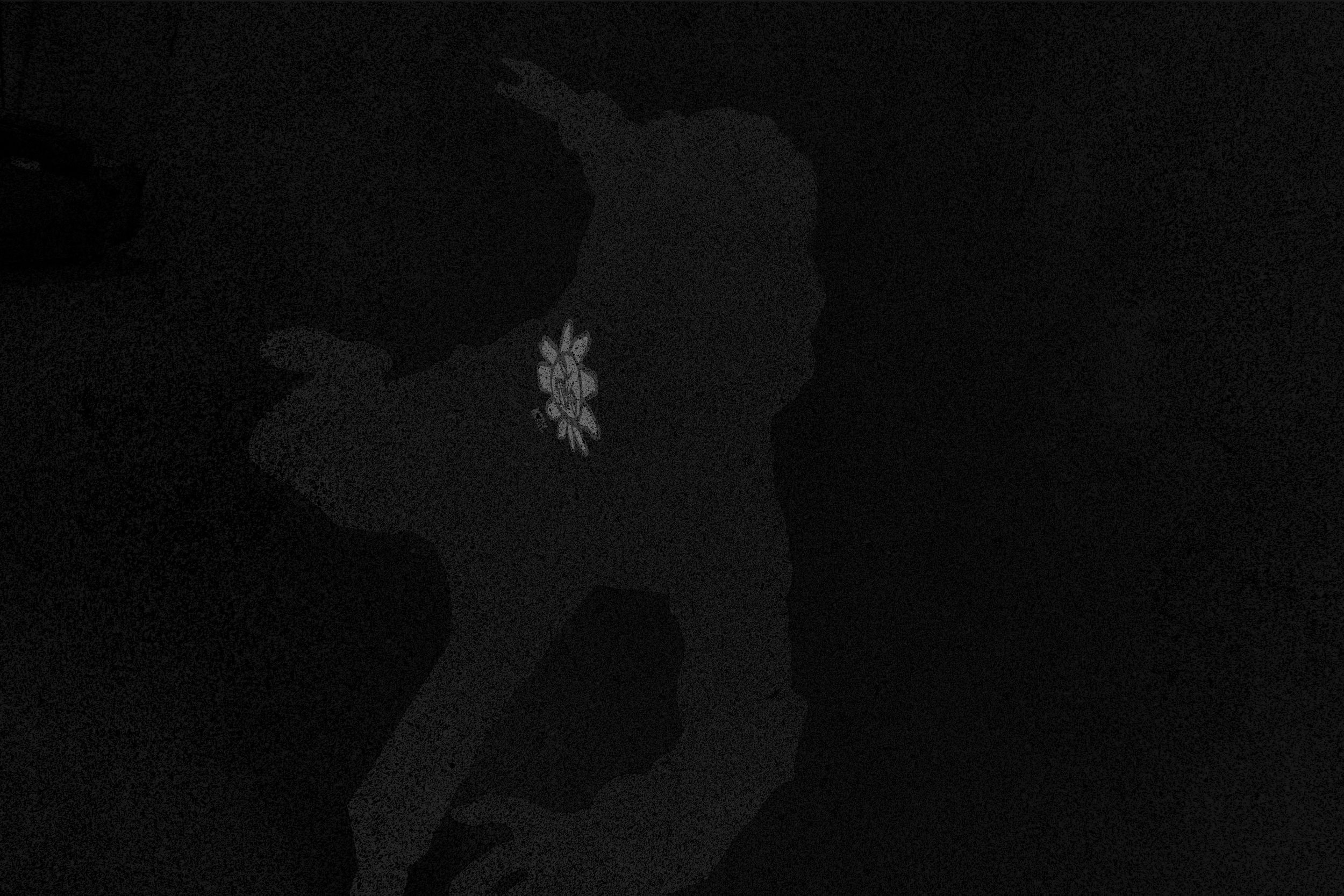 DARK FLOWER HOODIE 1
