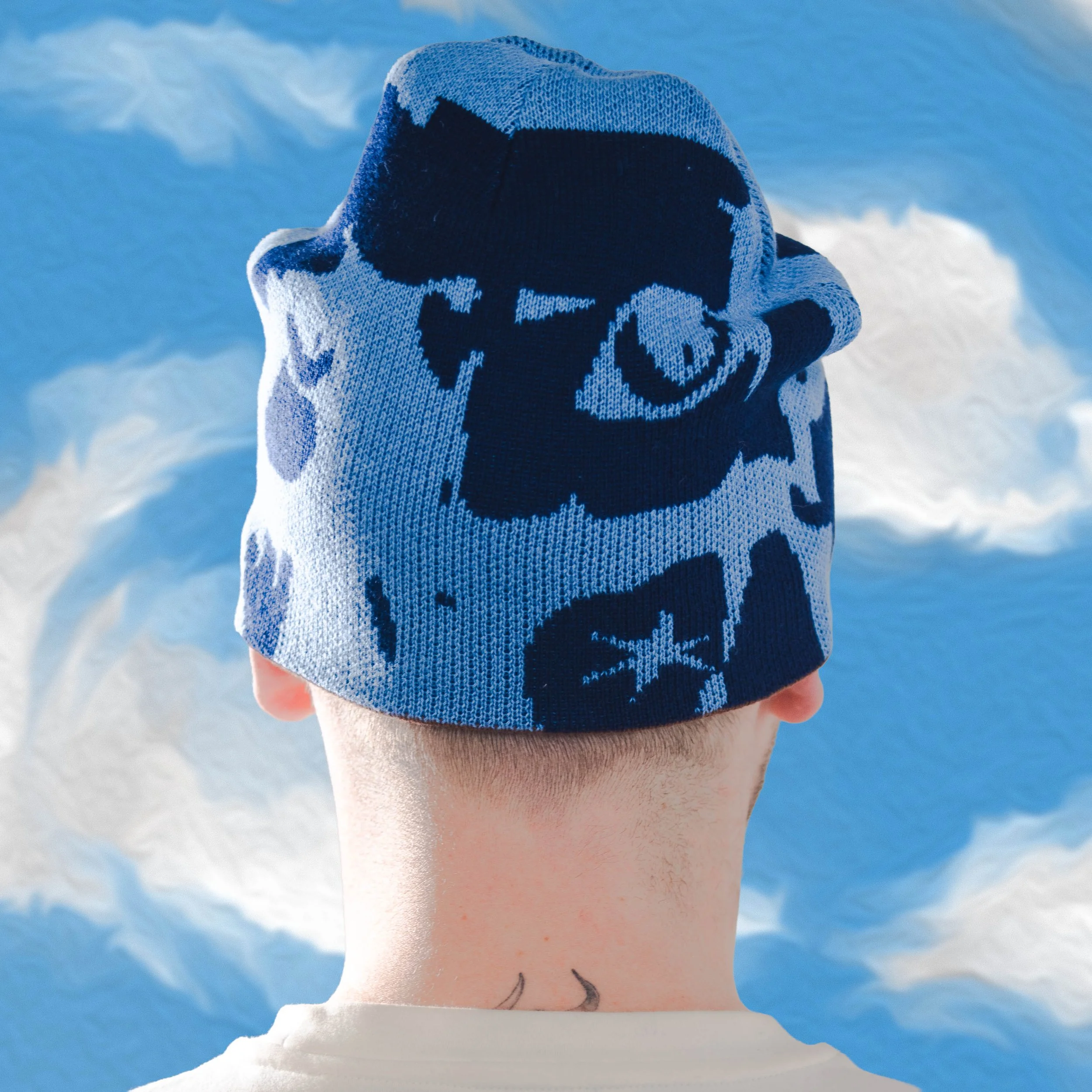blue_reverse_beanie_prod_back_g.jpg