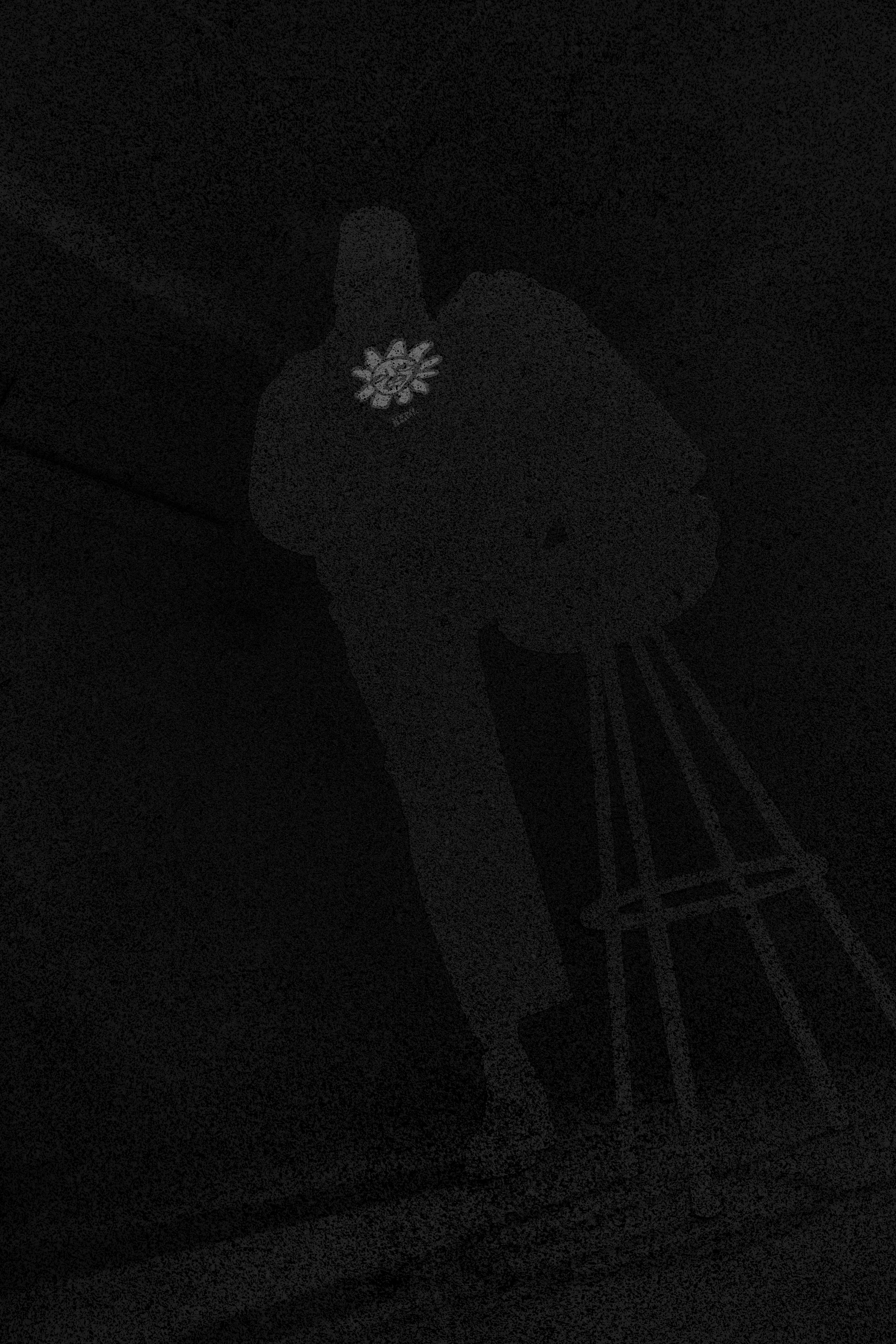 A person crouching down and taking a photo of a large object with a flower on it, in a dark environment.