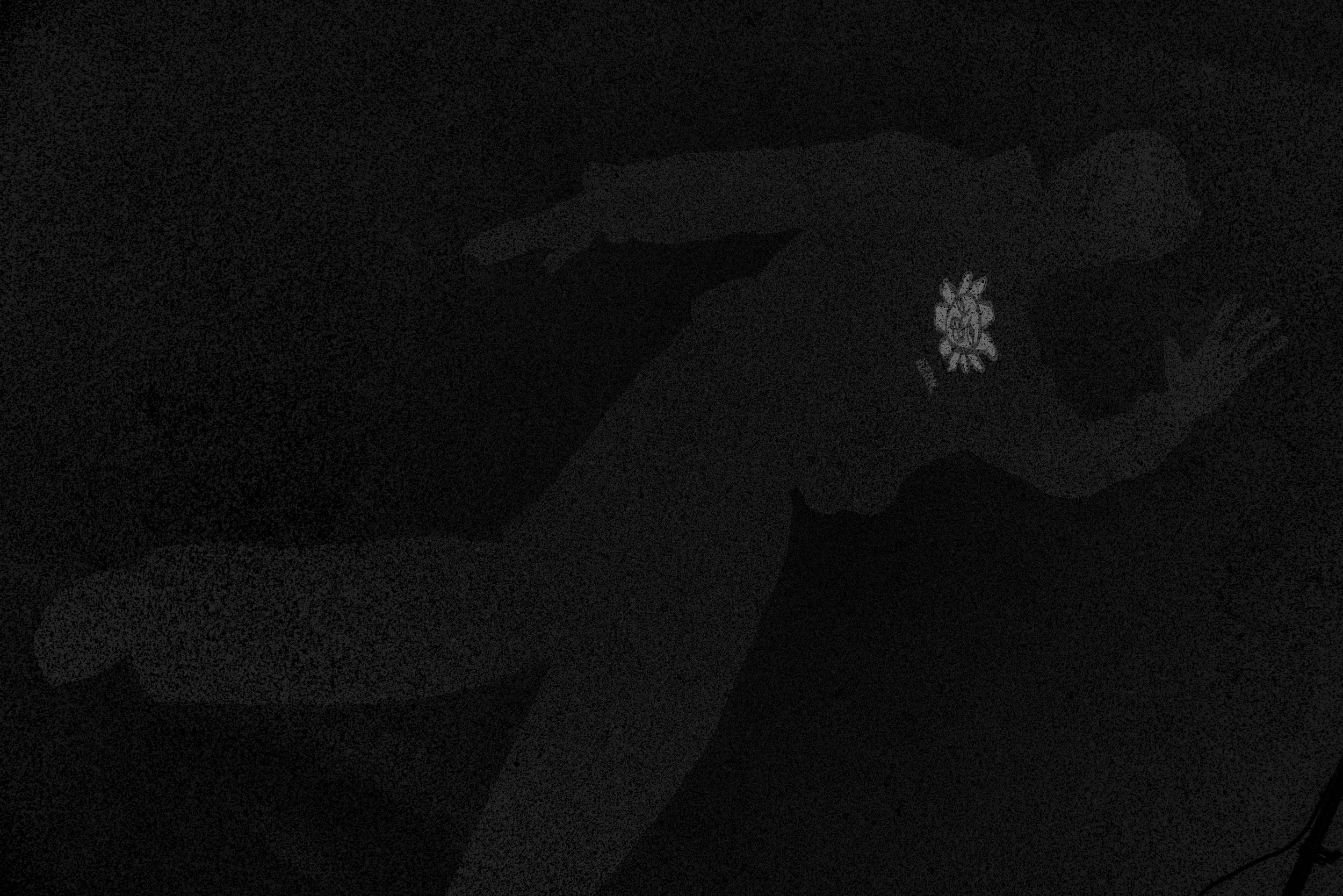 DARK FLOWER HOODIE 2
 