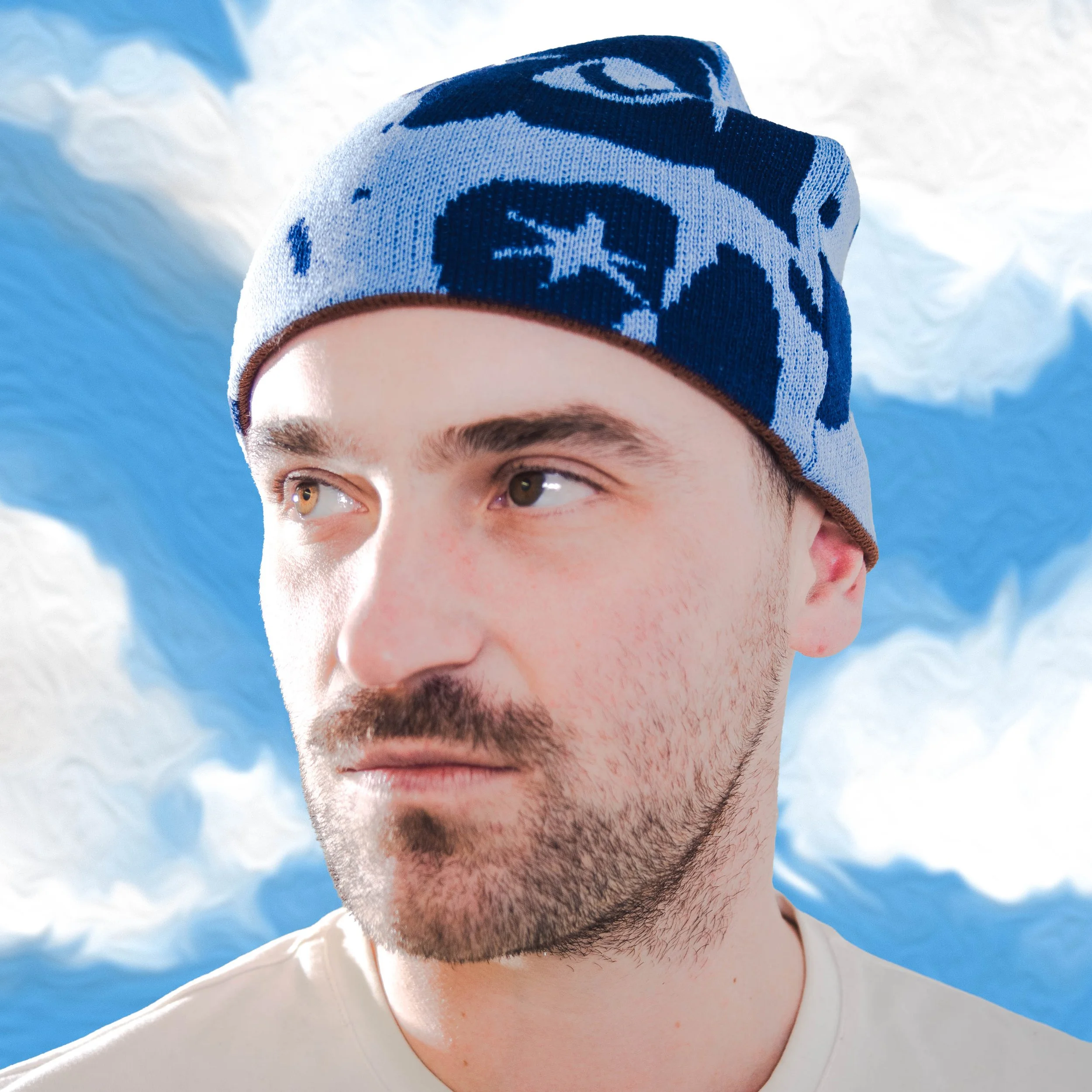 blue_reverse_beanie_prod_sdieG.jpg