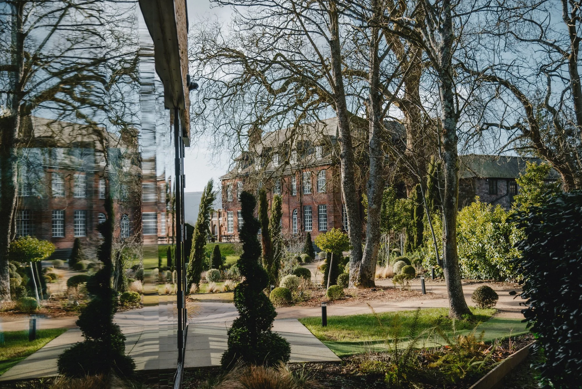 A garden with trees, shrubs, and a pathway next to a reflective glass building, with an older brick building visible in the background.