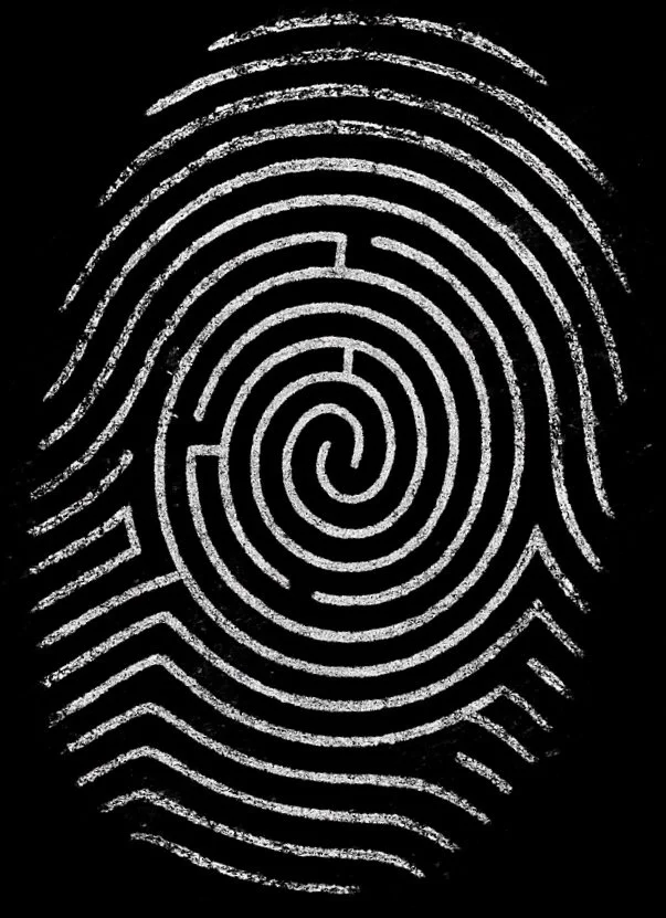 A fingerprint drawn as a maze