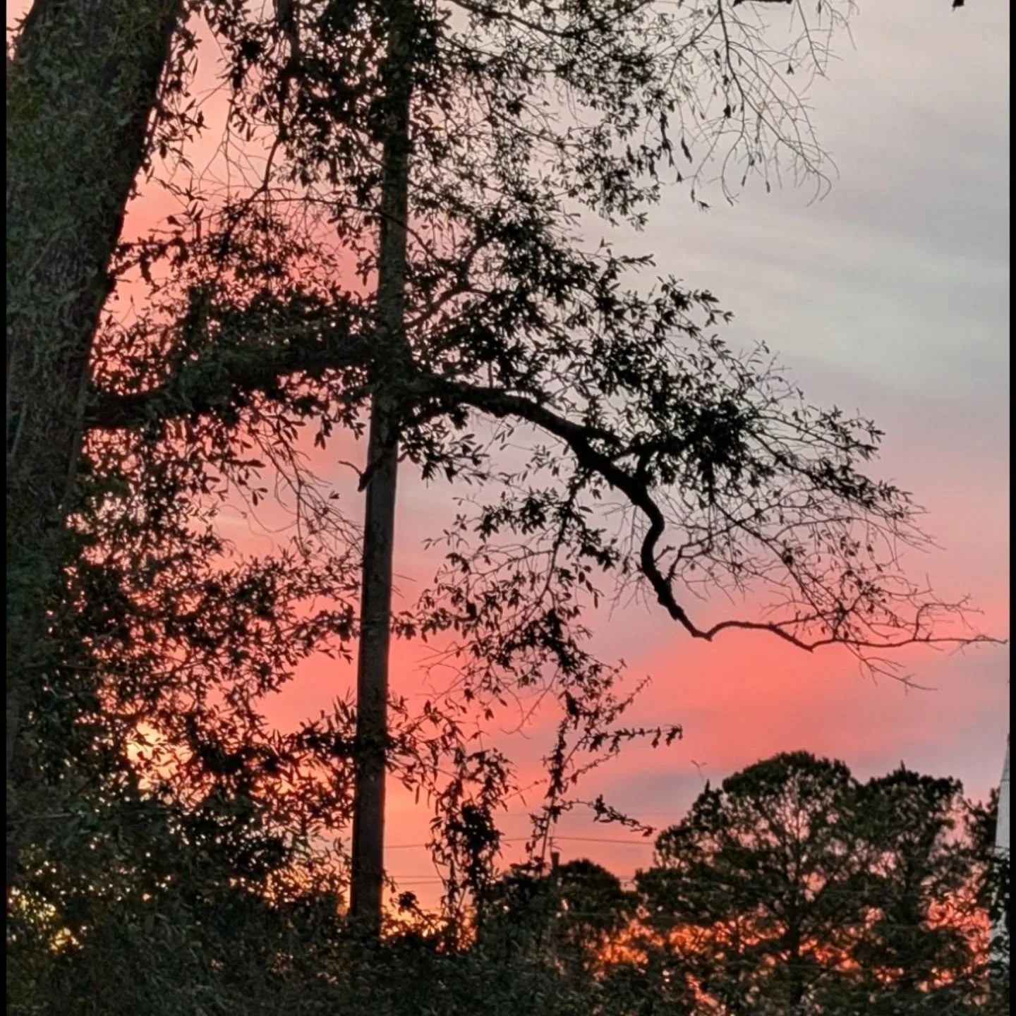 Beautiful Alabama sunset