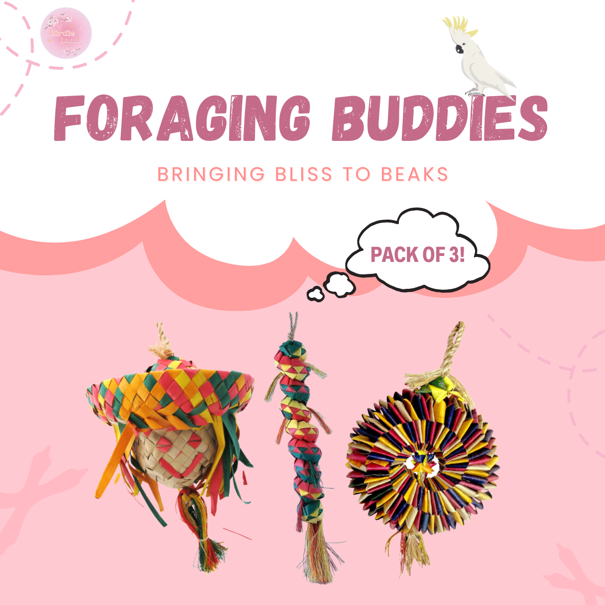  ~ Sold out ~ 🦜Foraging Buddies - Pack of 3 Bundle ✨Egg Head ✨Caterpillar ✨Bird Tire