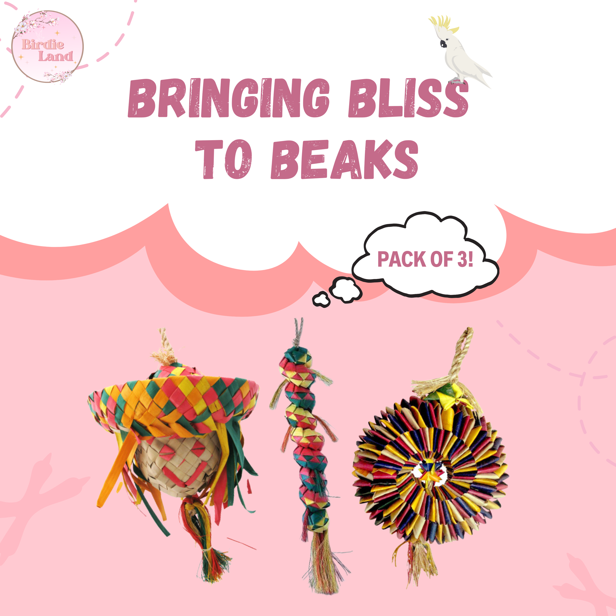 🦜Foraging Buddies - Pack of 3 Bundle
✨Egg Head 
✨Caterpillar 
✨Bird Tire
