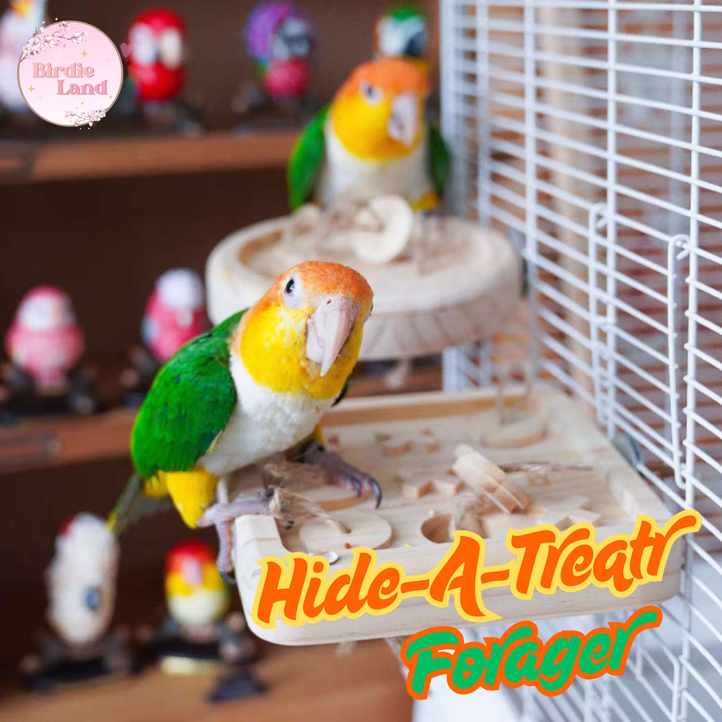  ~ Sold out ~ ✨This clever foraging feeder lets you hide treats inside. Your parrot will love the challenge of pulling off the wooden cover to find their tasty reward! This is a fun way to bond with your birds and boost their intelligence. Encourage 