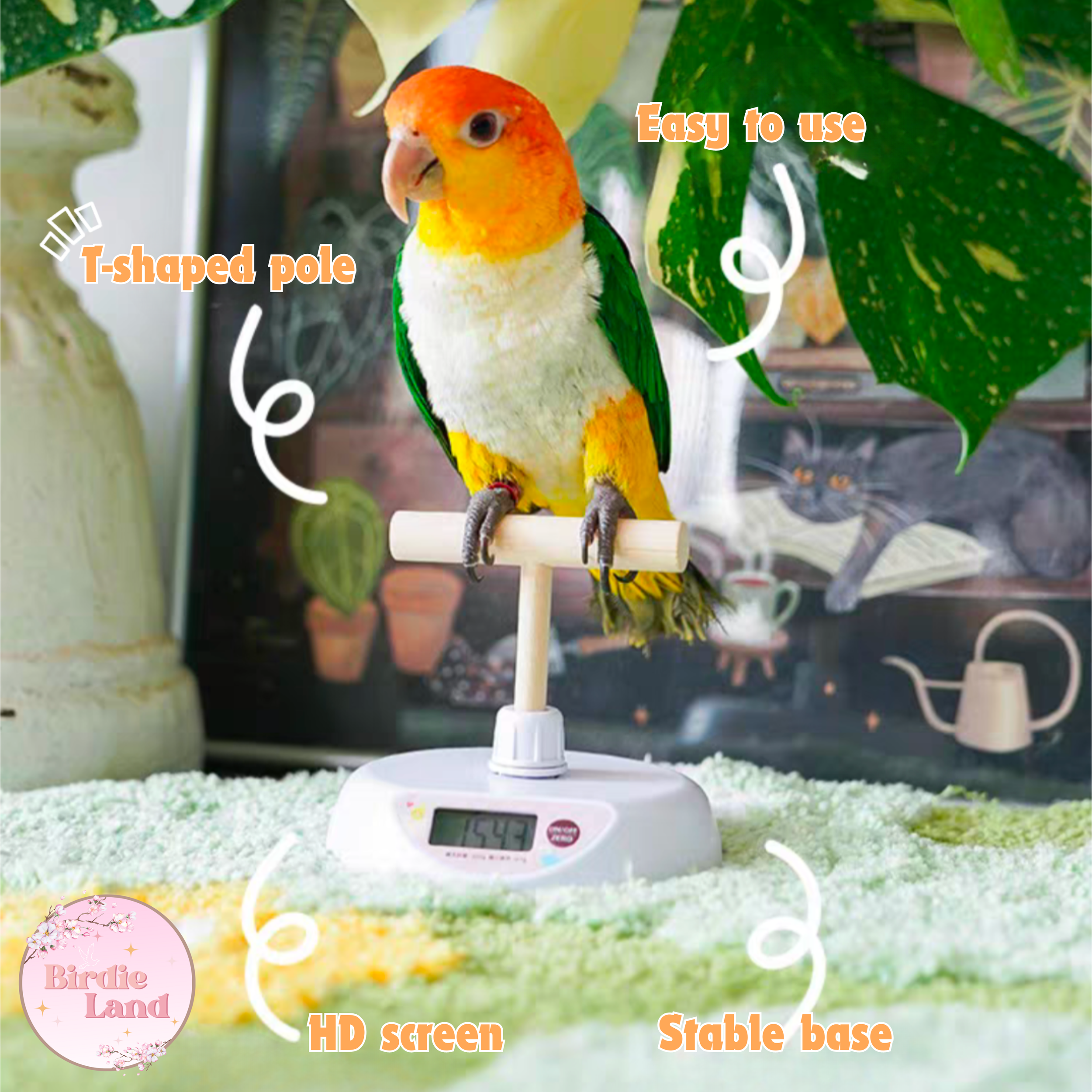 ✨ Regularly weighing your bird is a vital tool for keeping them healthy. It helps you detect early signs of illness and prevents curable diseases or deficiencies from going unnoticed. Combined with tracking their diet and behavior, weighing your bird