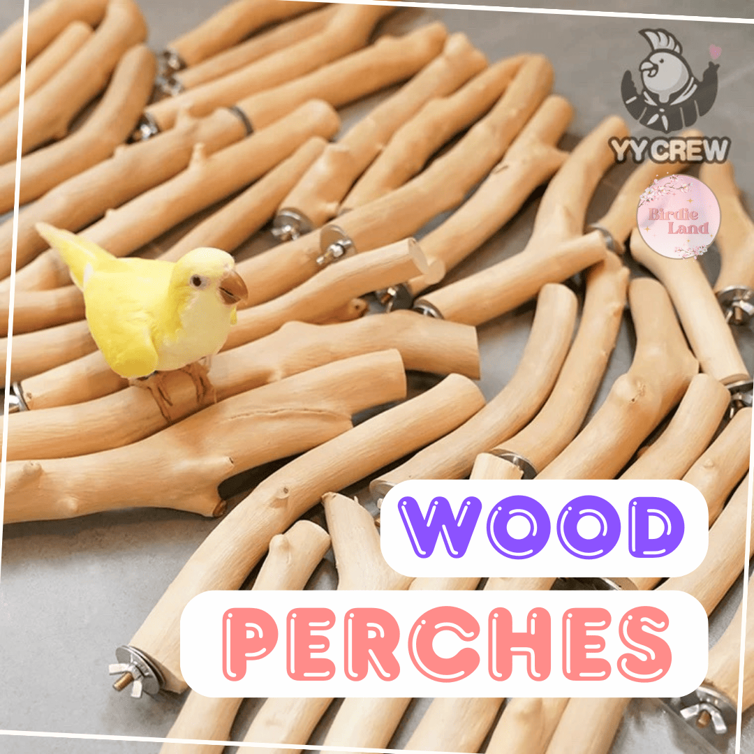  ~ Sold out ~ ✨ Provide your feathered friend with a comfortable and natural perch that promotes healthy feet and encourages natural behaviors. These perches are designed to offer a secure and enjoyable resting place for your bird.
