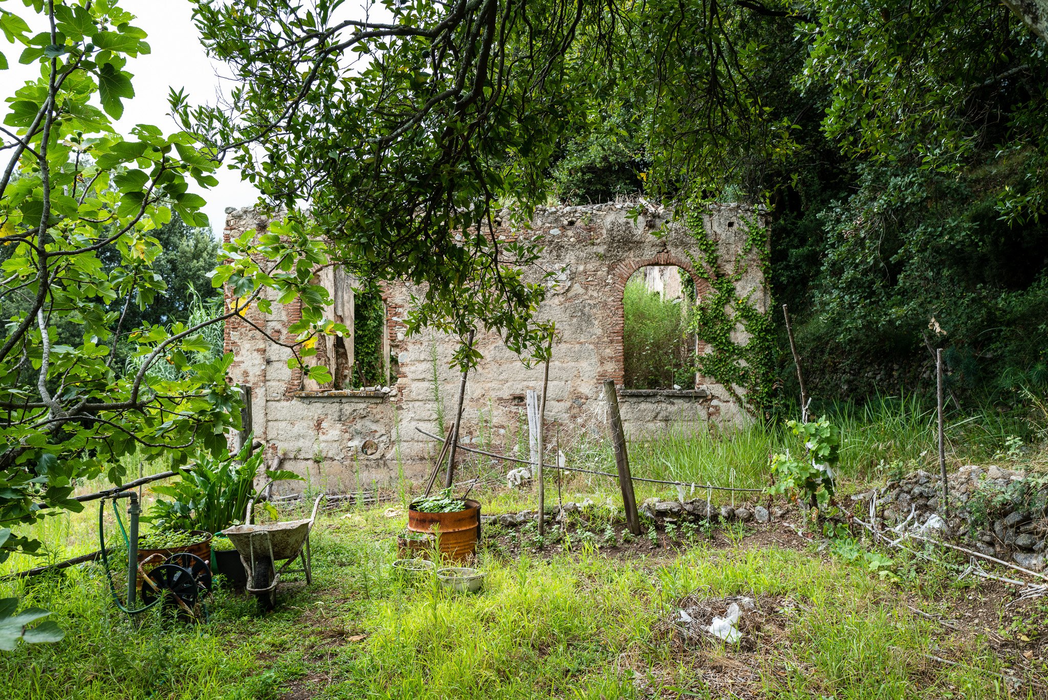 L1000231.jpg