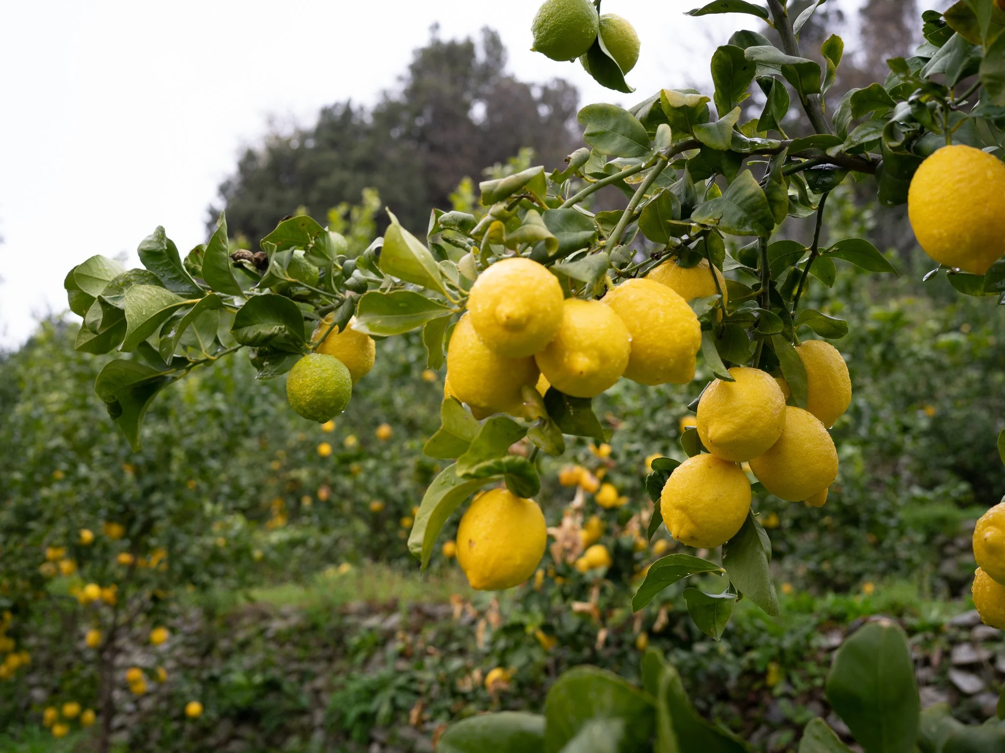 Import B0005302 2023-03-25_14-30-43-2.jpg