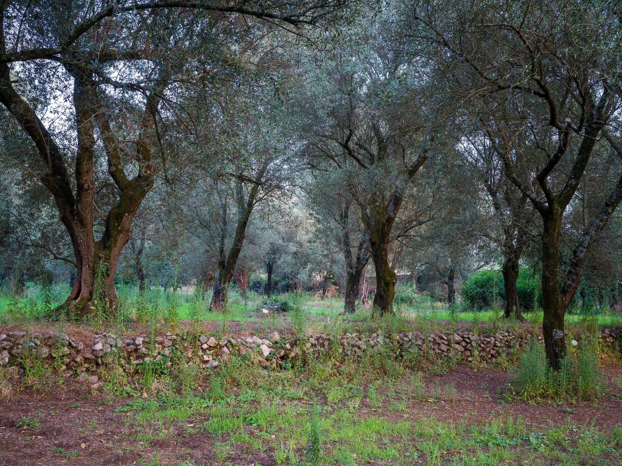 B0010297.jpg