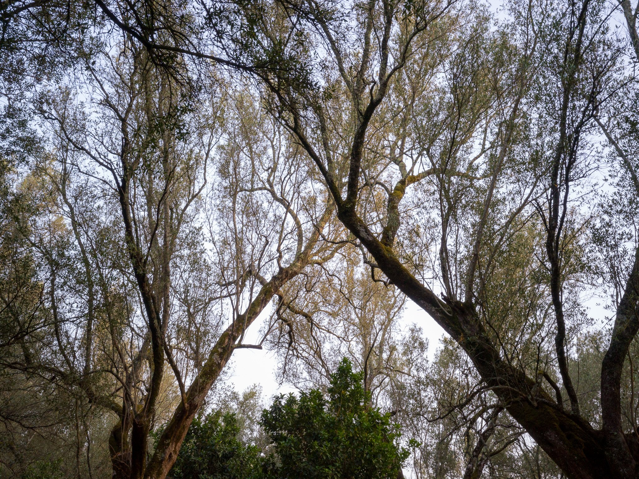 B0010275.jpg
