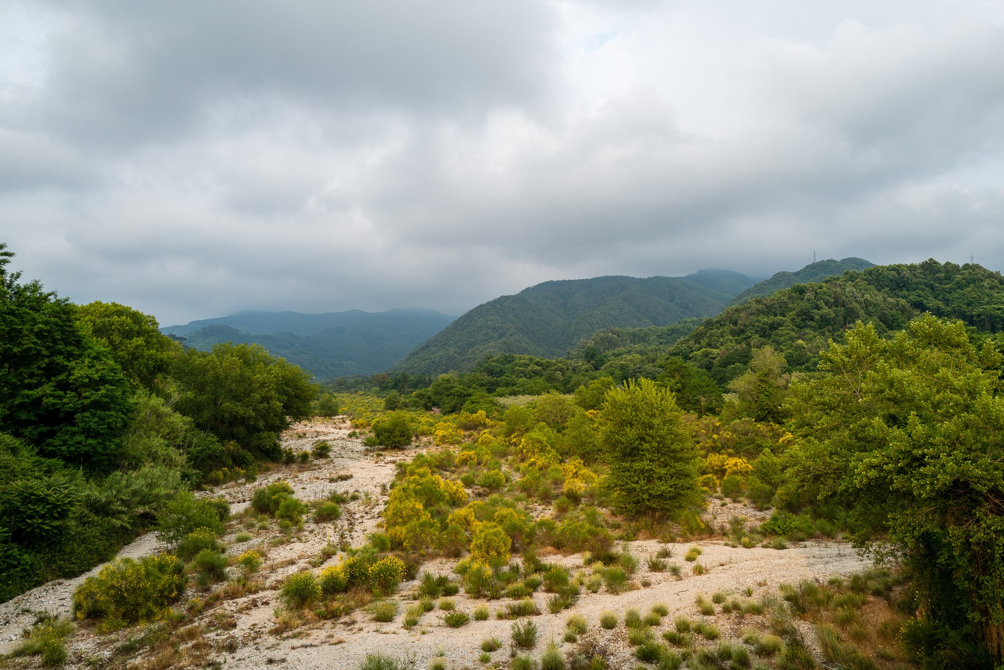 L1010434.jpg