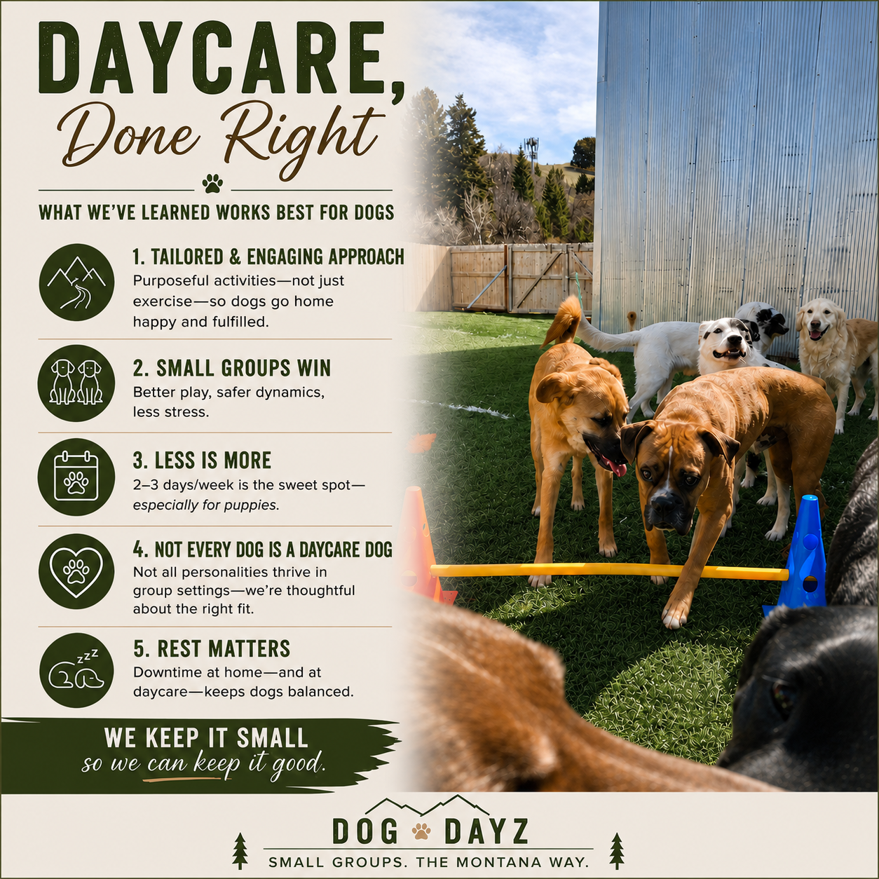 Daycare, Done Right: Finding the Right Balance for Your Dog