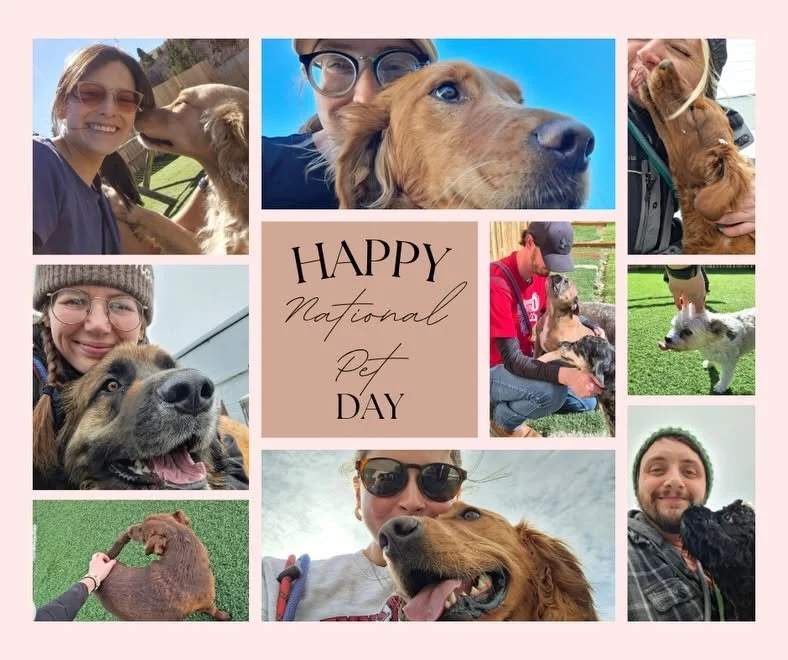 pet day.jpg