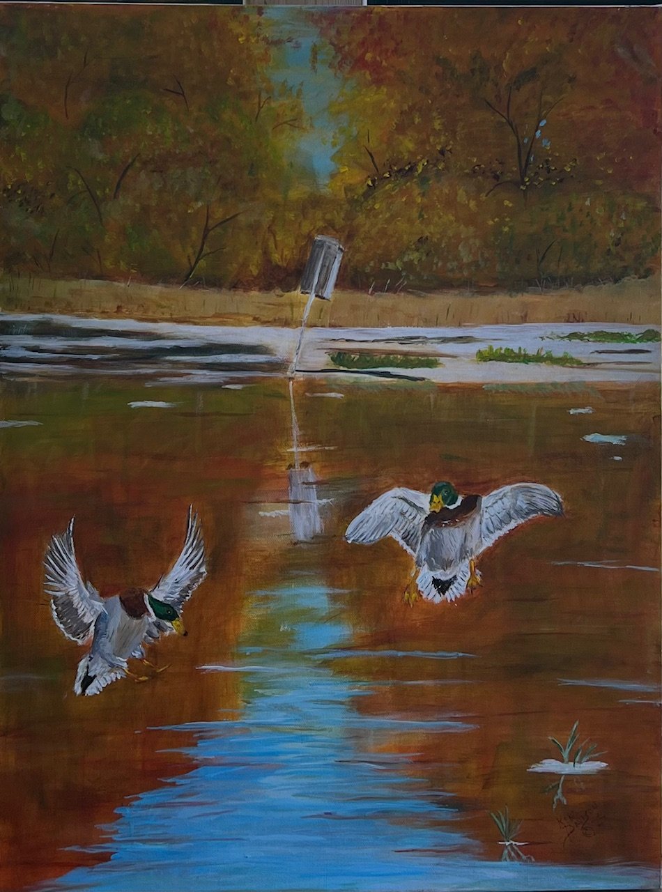 Green Castle Mallards