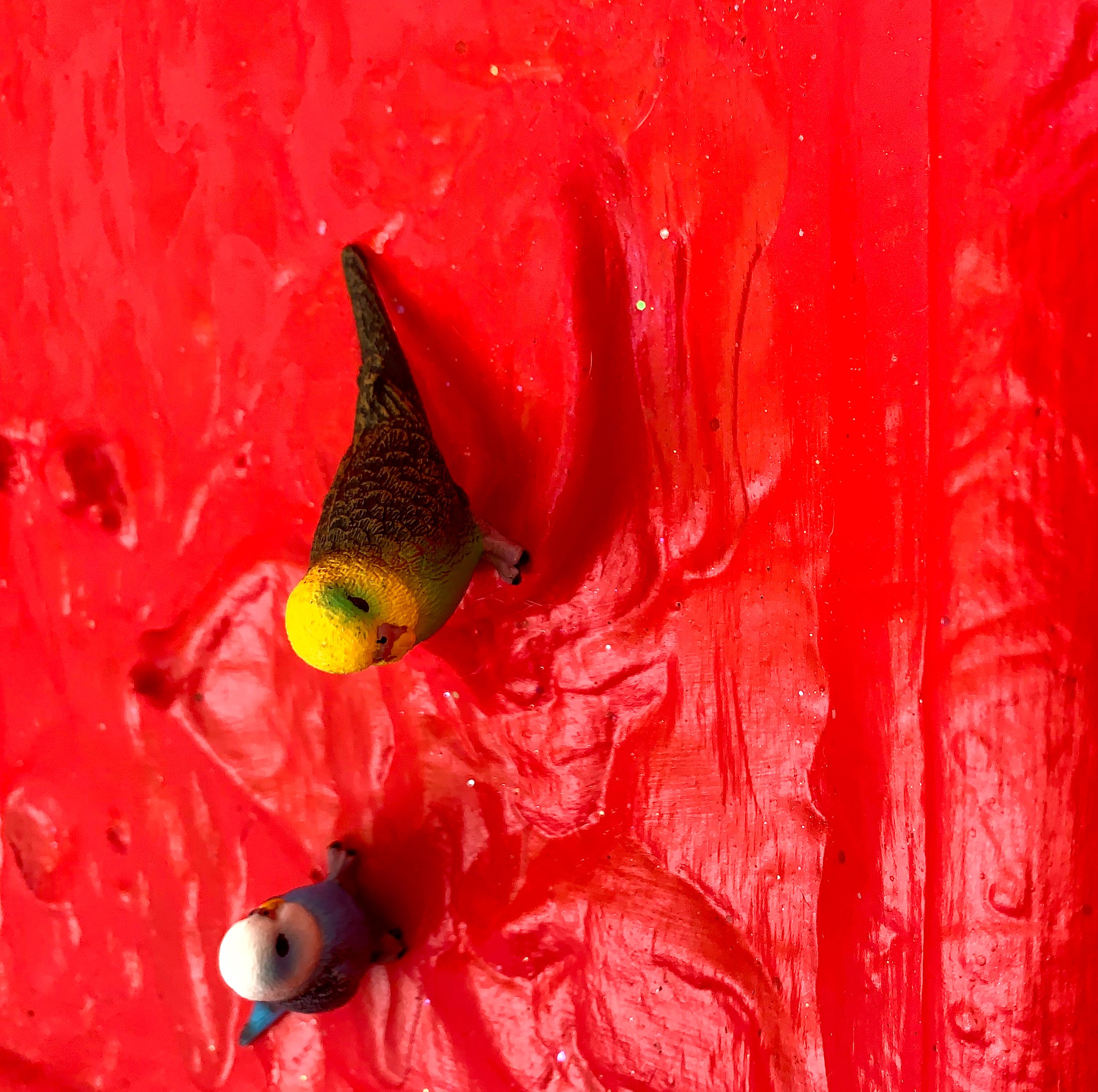 Cherry detail.jpeg