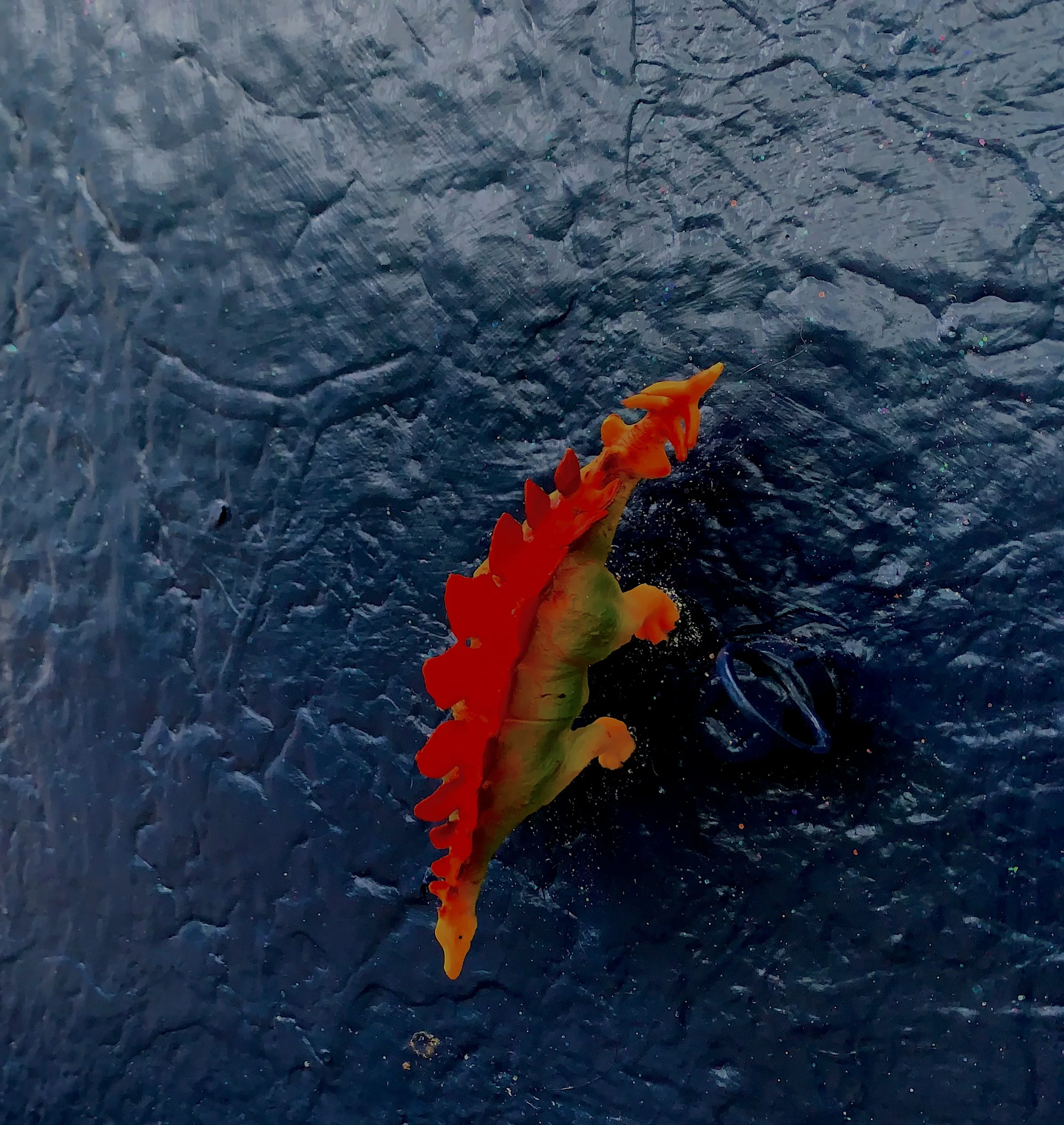 Midnight detail.jpeg