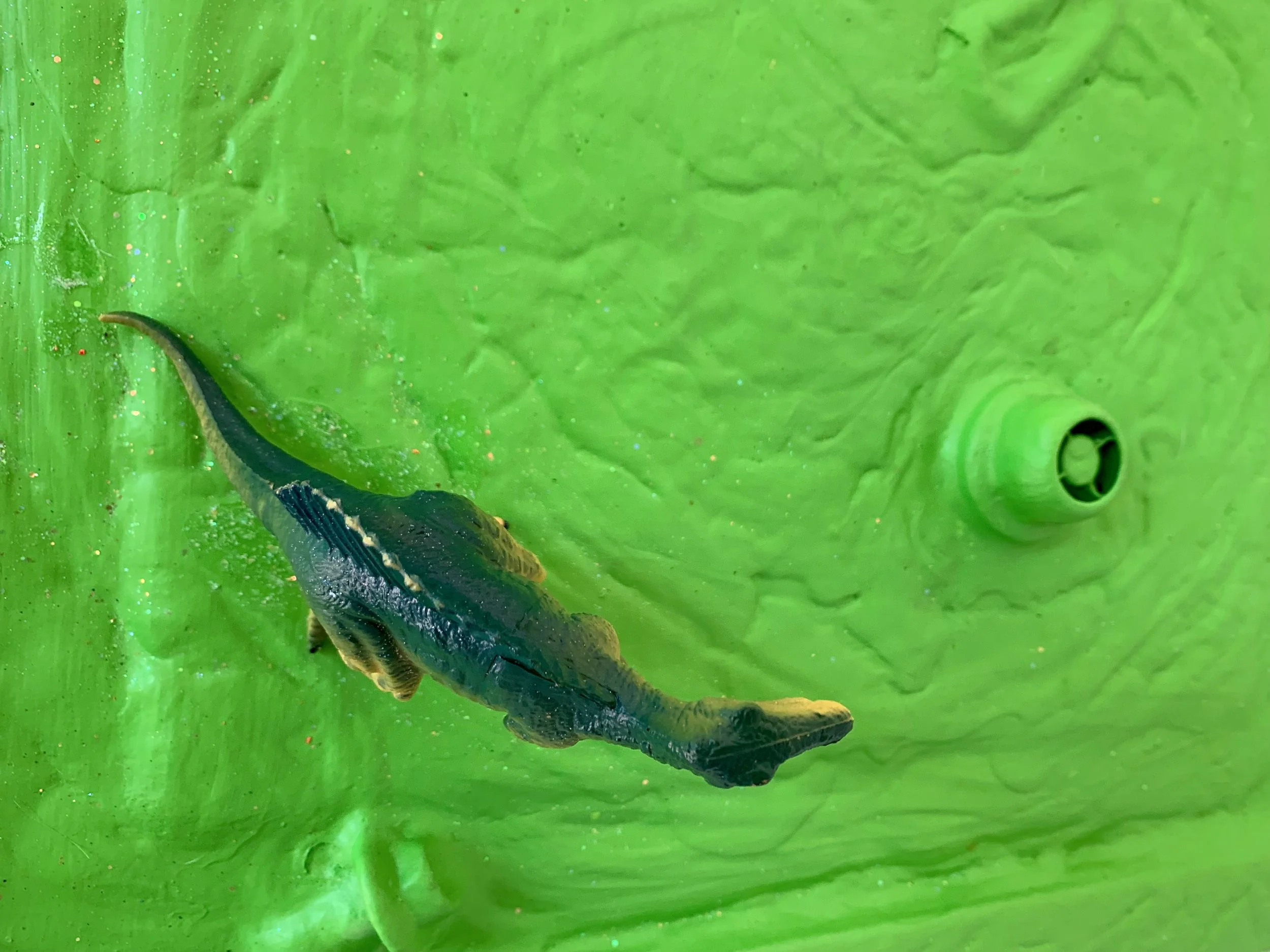 Green Apple detail.jpeg