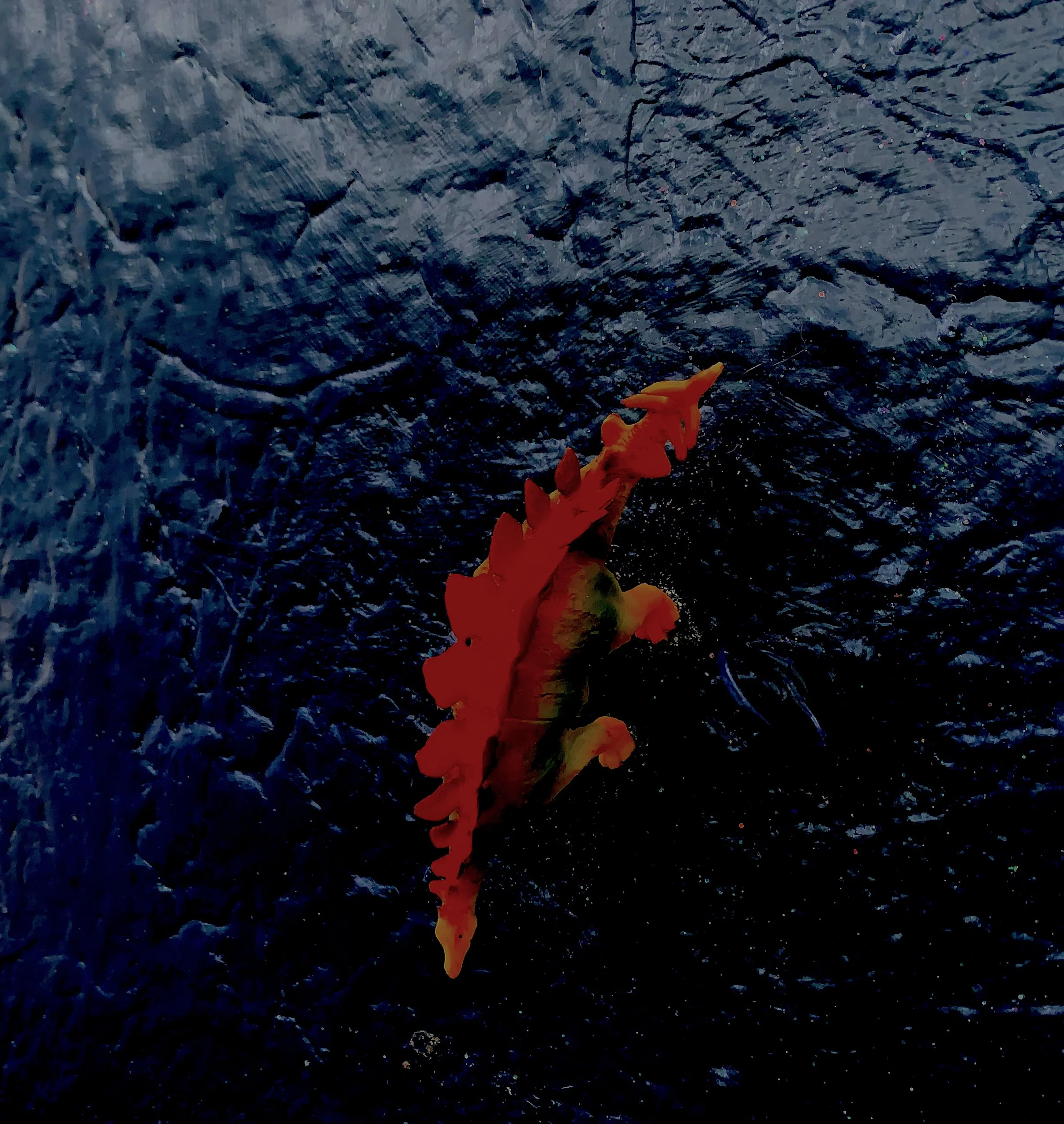 Midnight detail.jpeg
