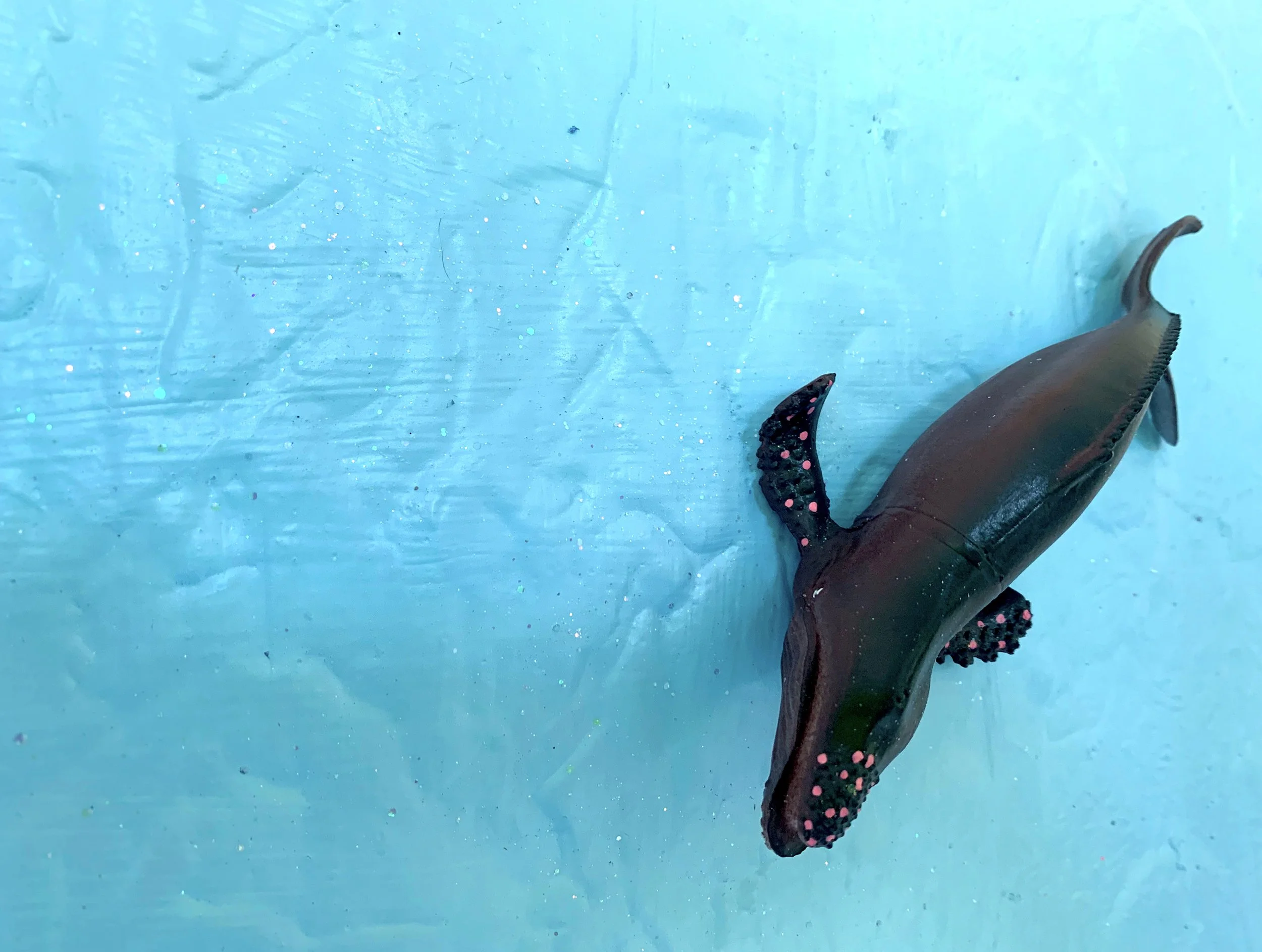 Robin's Egg detail.jpeg