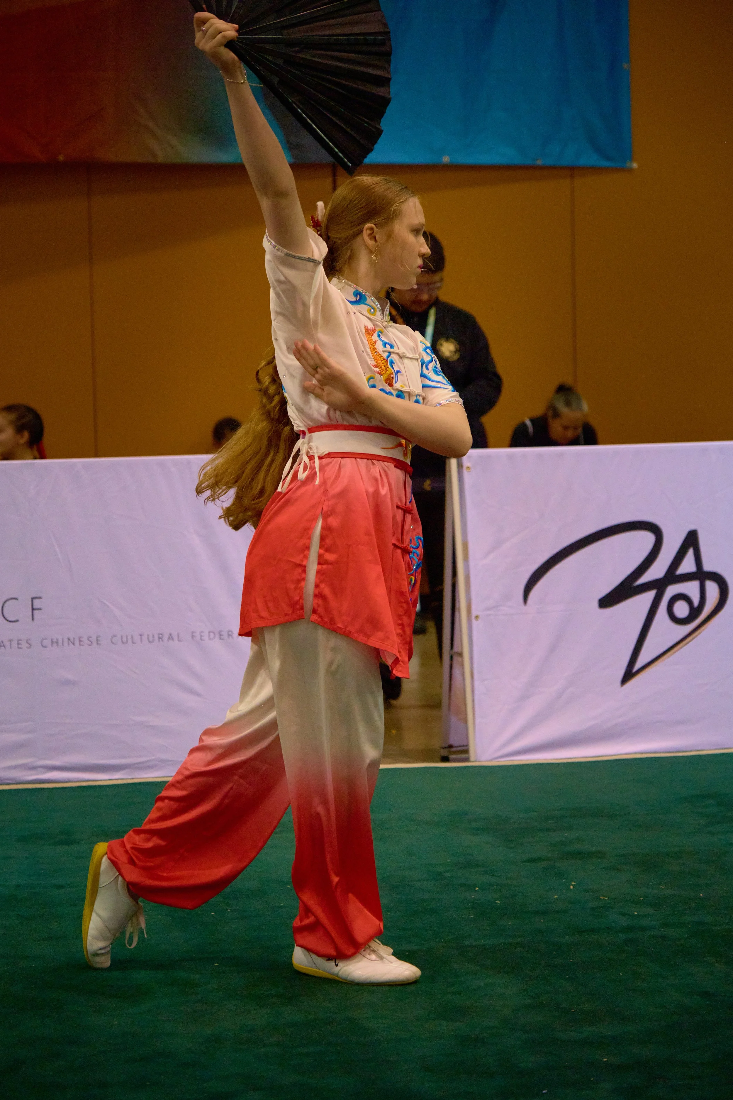 Phoenix Wushu NationalsDSCF5355.jpg