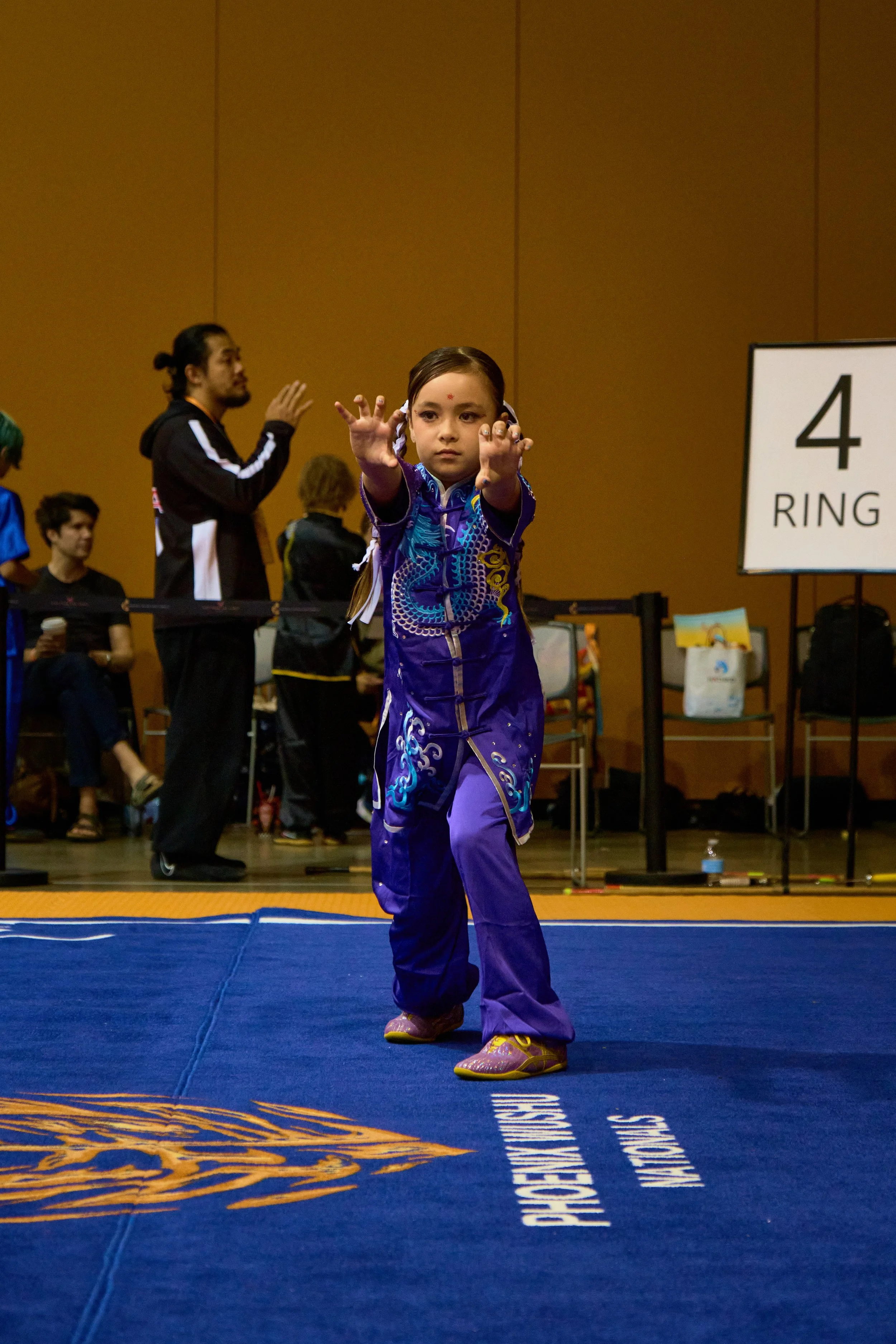 Phoenix Wushu NationalsDSCF0779.jpg