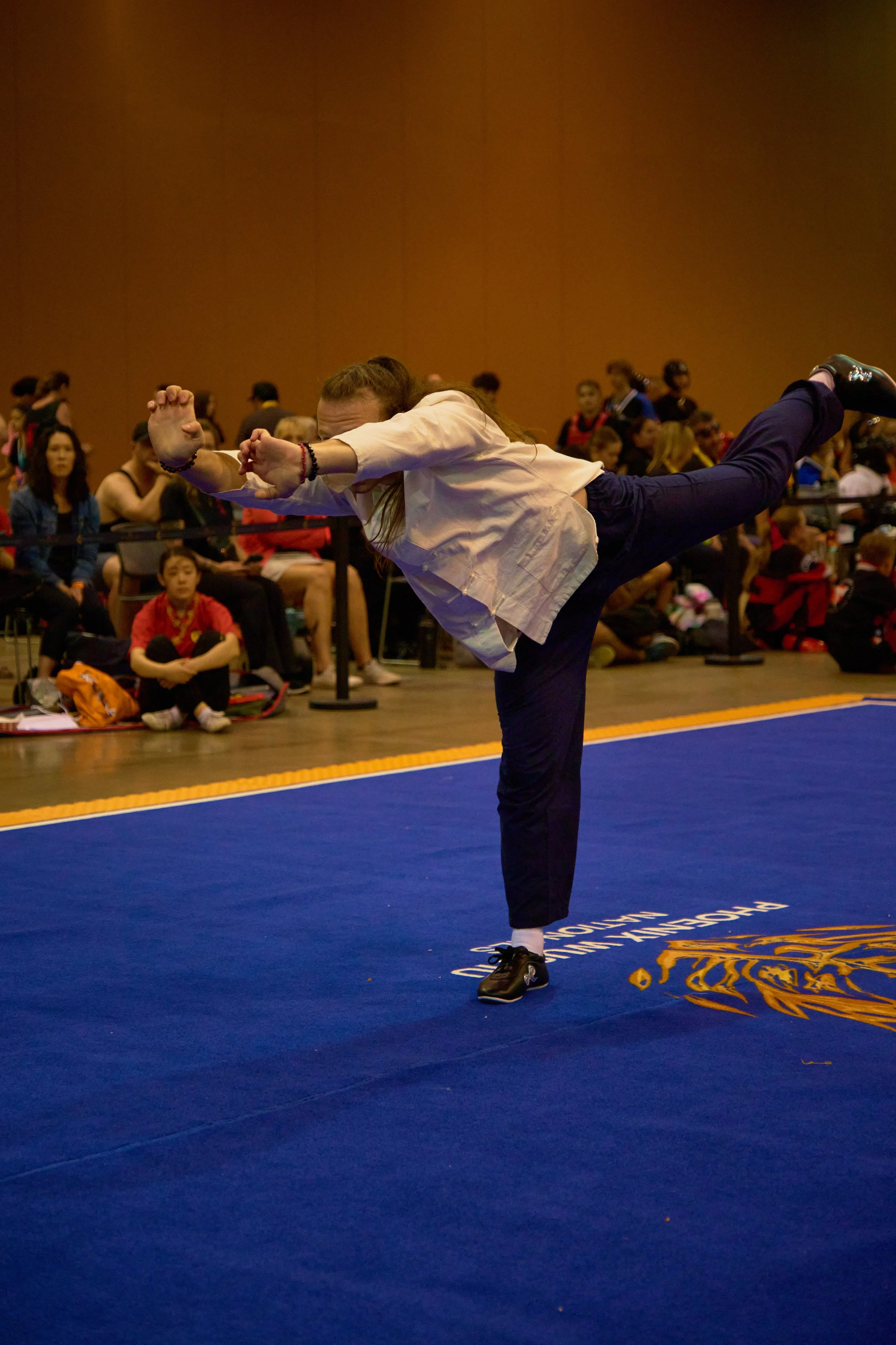 Phoenix Wushu NationalsDSCF2358.jpg